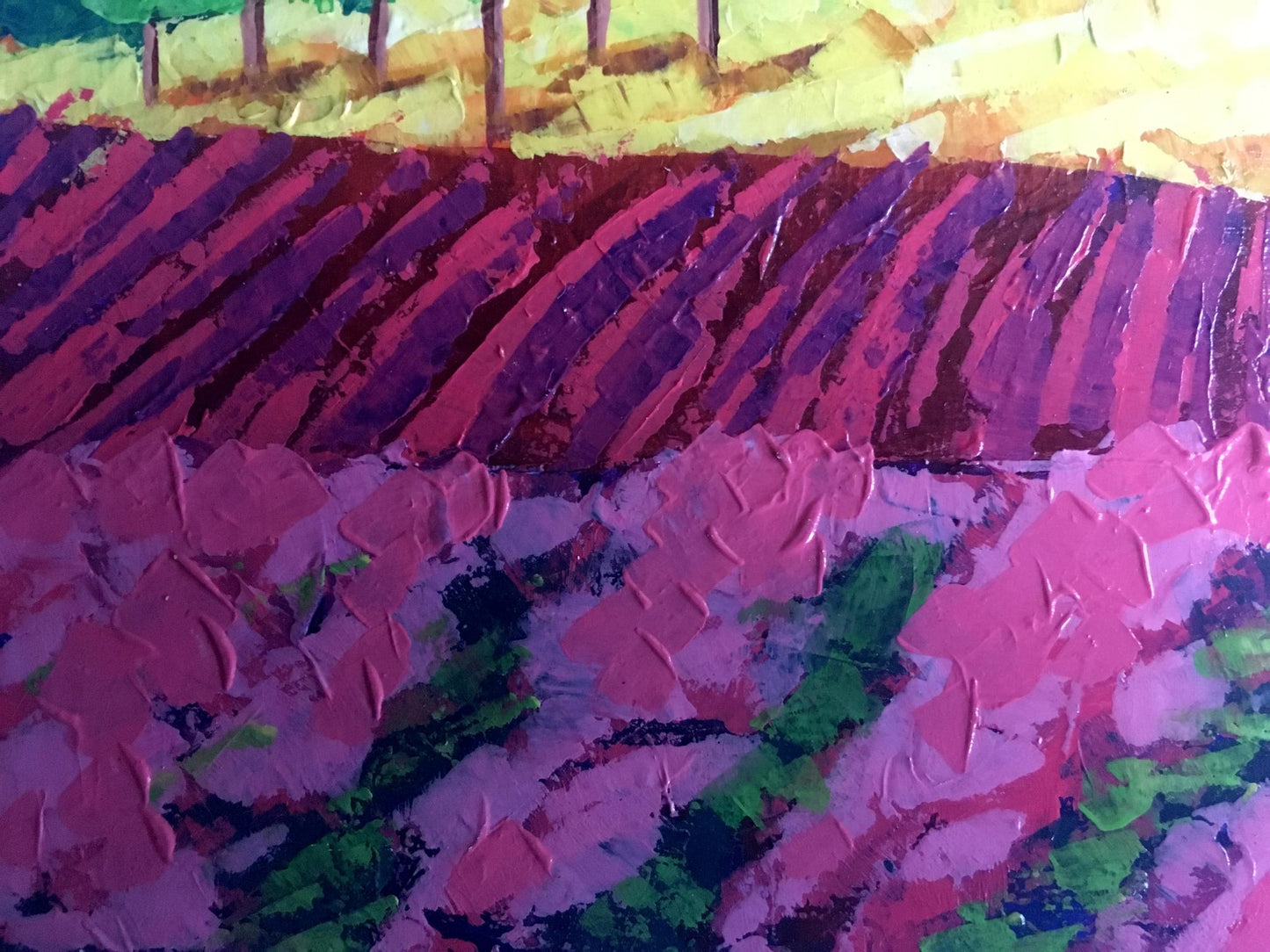 Vibrant V. Zadorozhnya oil painting of vineyards in forested mountains