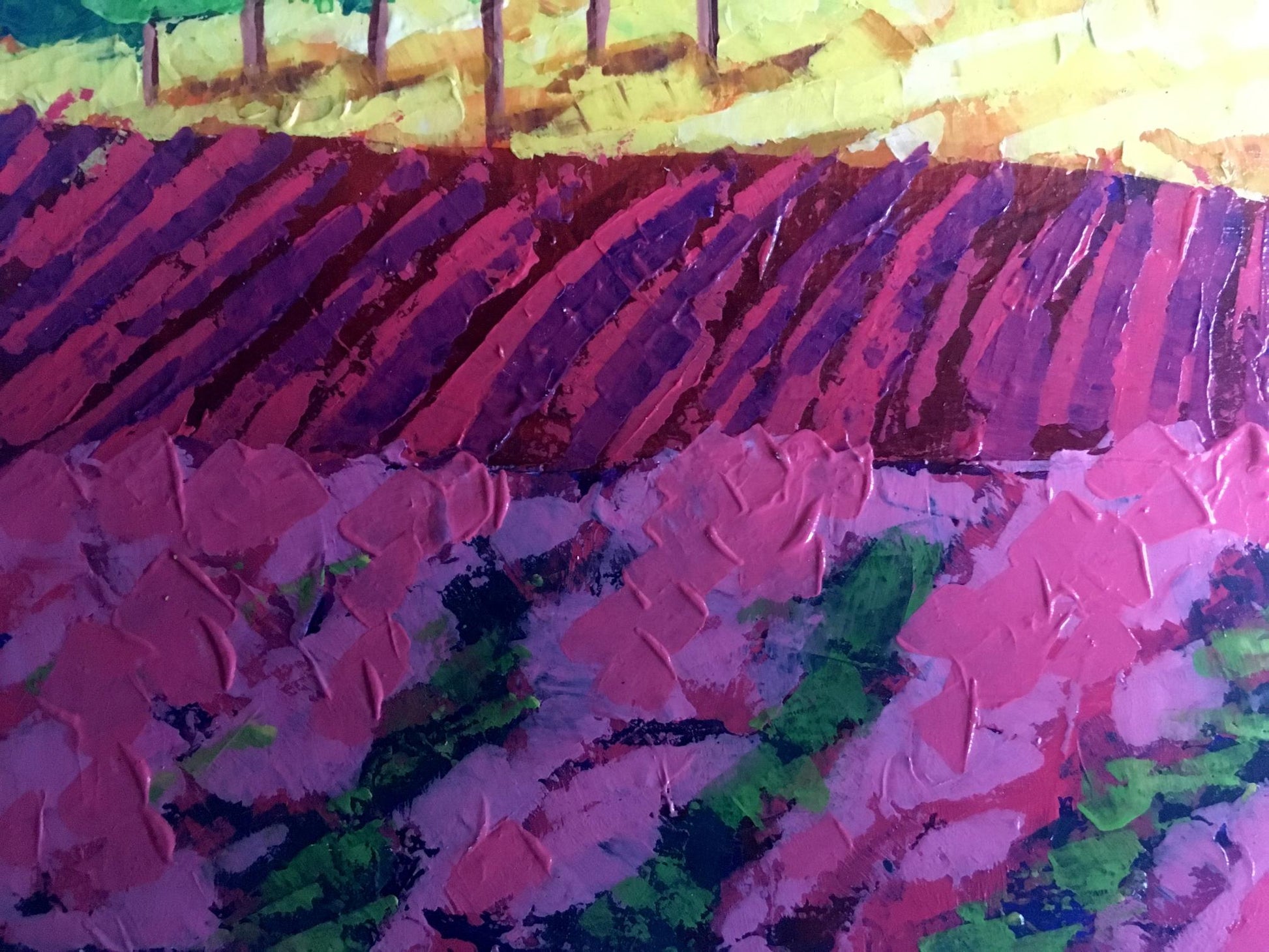 Vibrant V. Zadorozhnya oil painting of vineyards in forested mountains