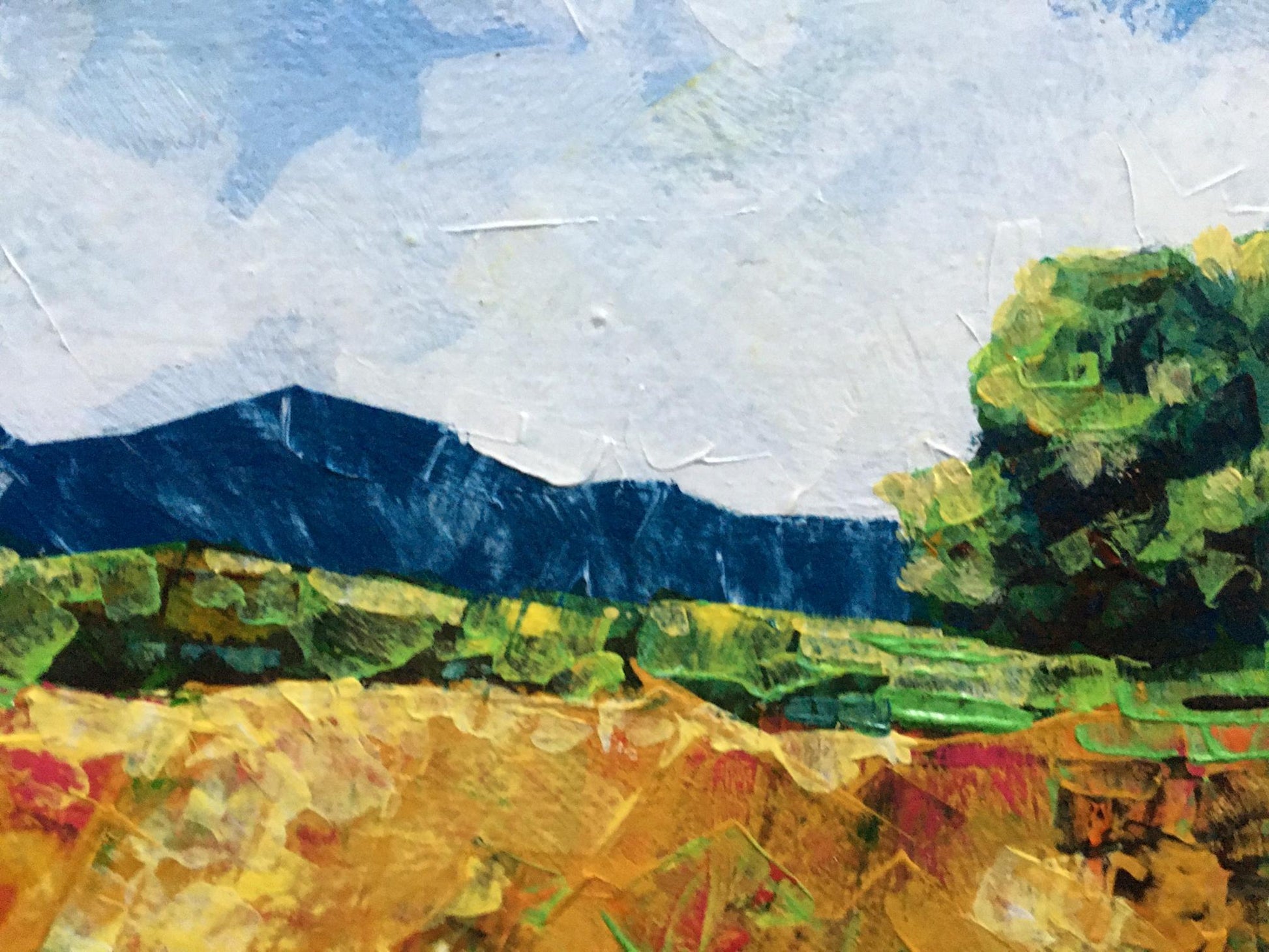 Oil painting Summer day Zadorozhnya V.V. impressionistic mountain landscape