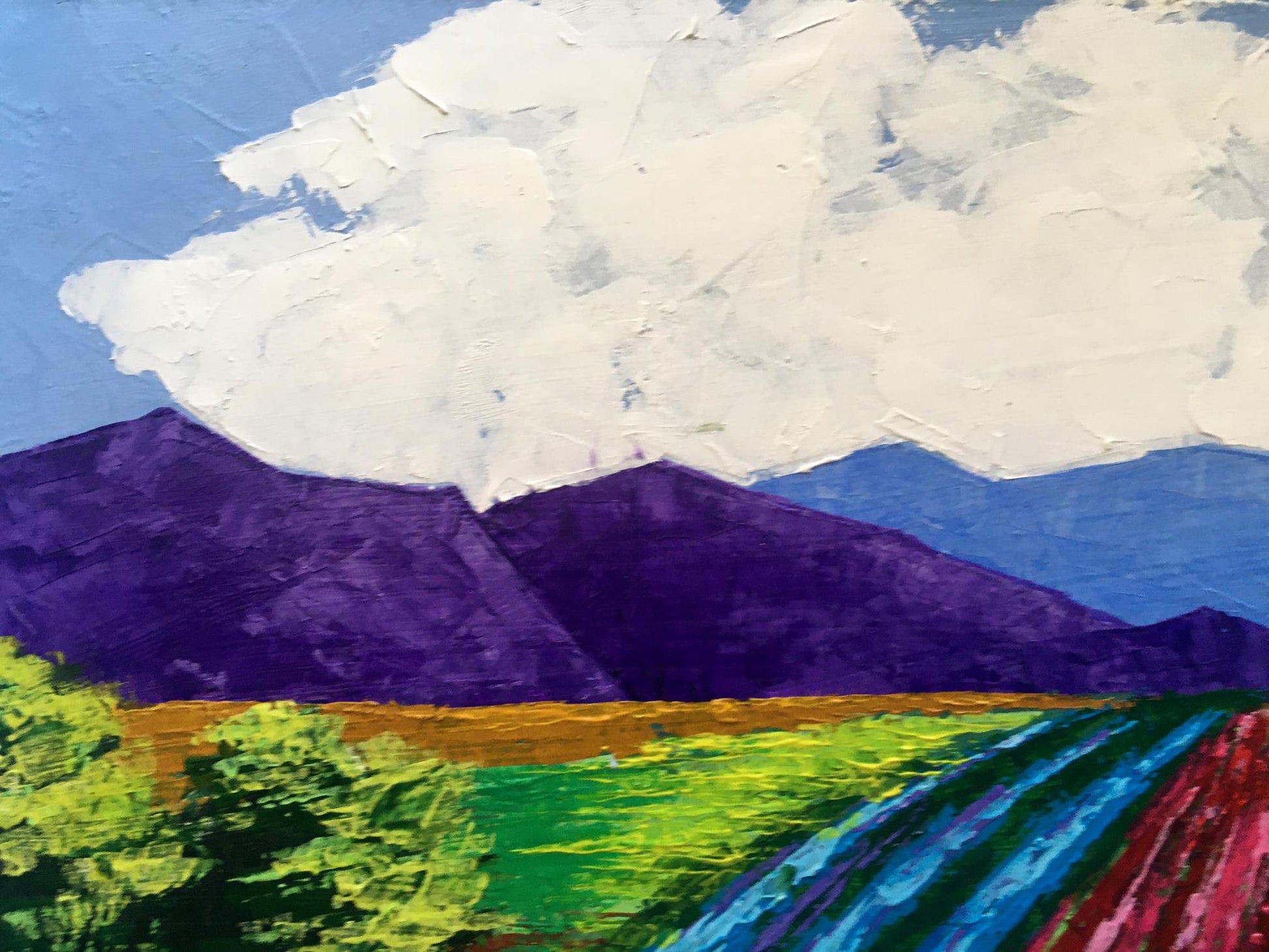 Vibrant oil painting of vineyards in purple mountains by V. Zadorozhnya
