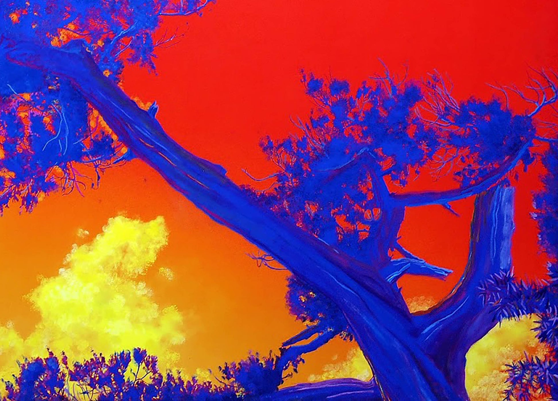 Buy Modern Painting