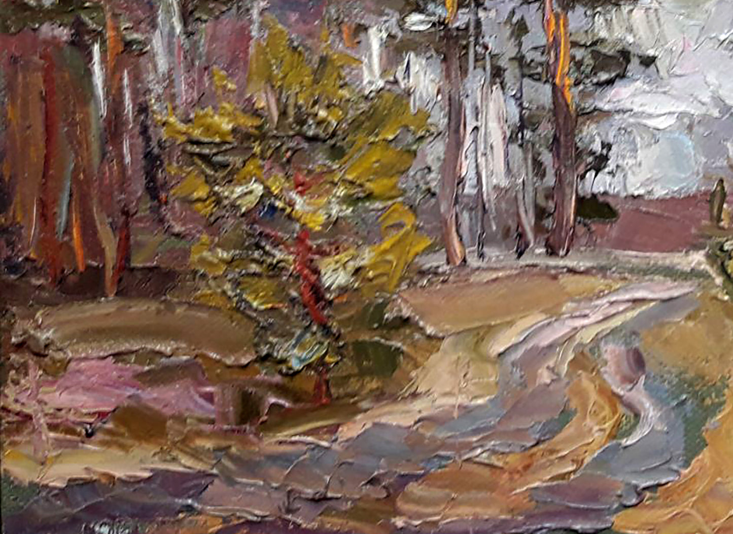 Forest landscape