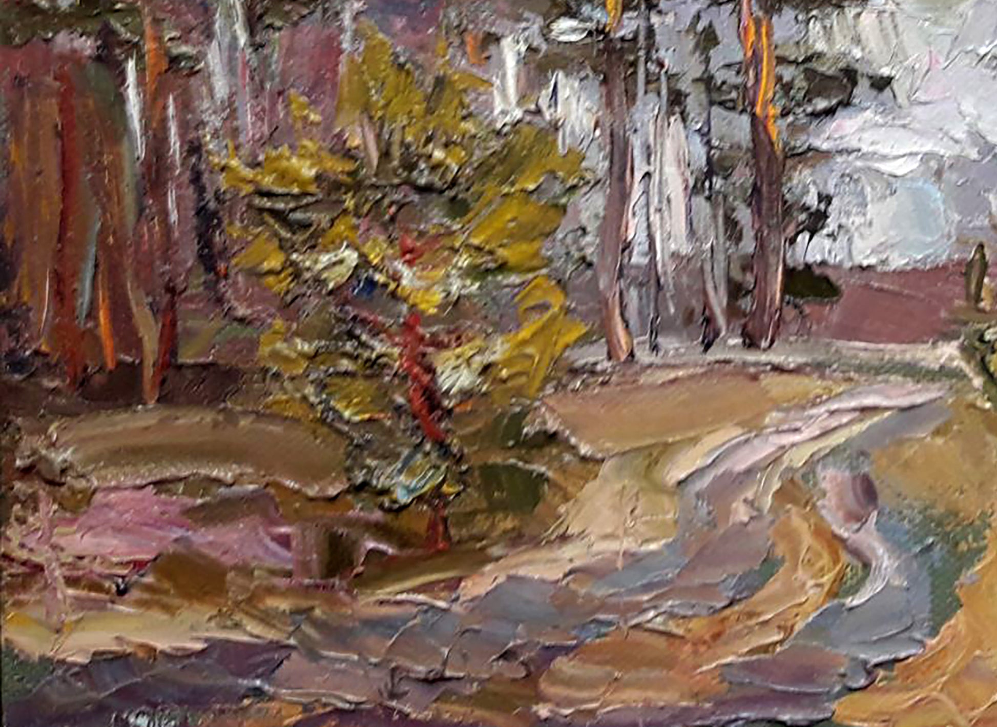Forest landscape