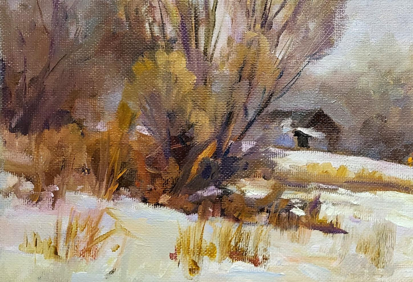 Village landscape 