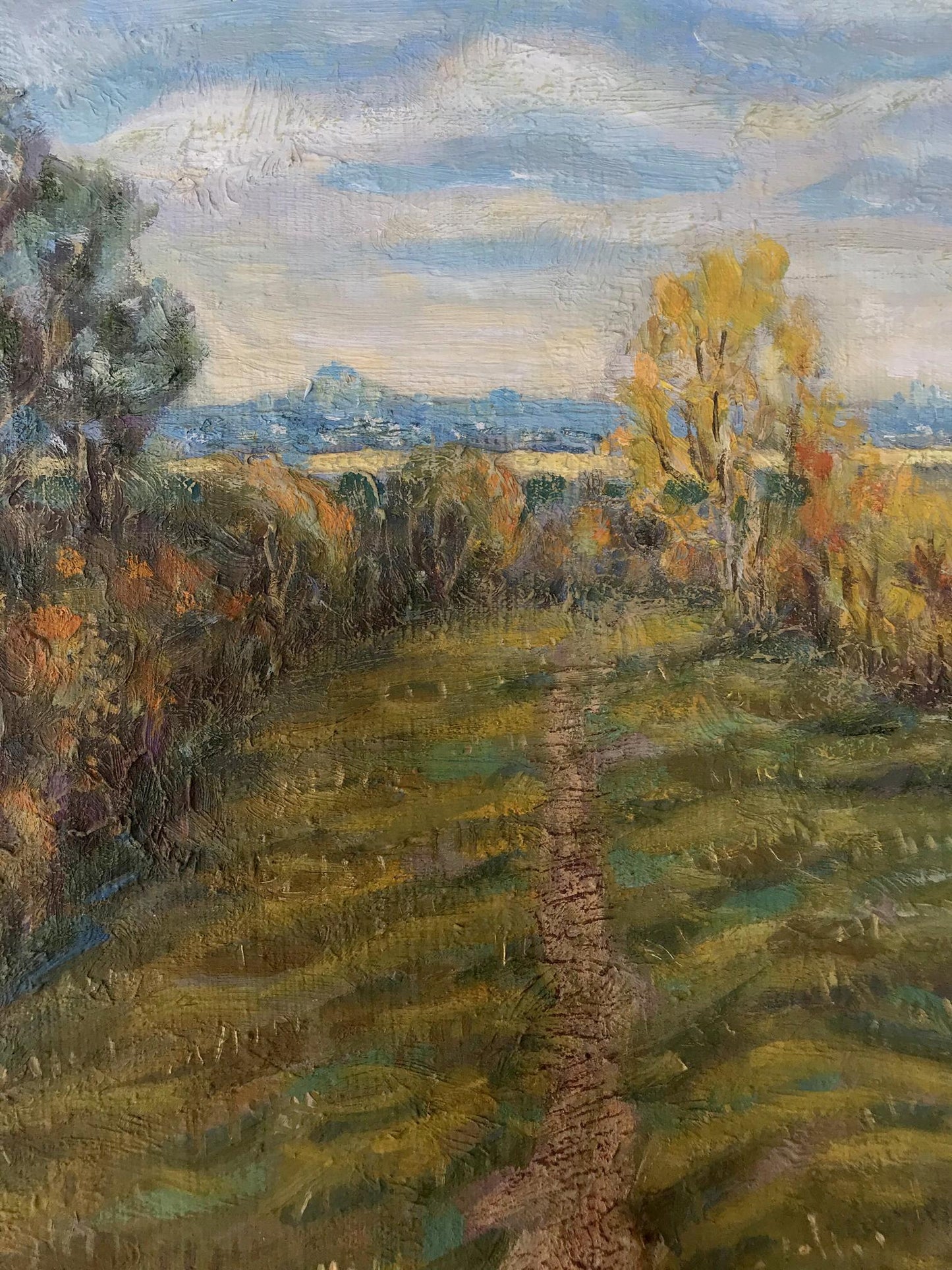 Autumn Forest Landscape 