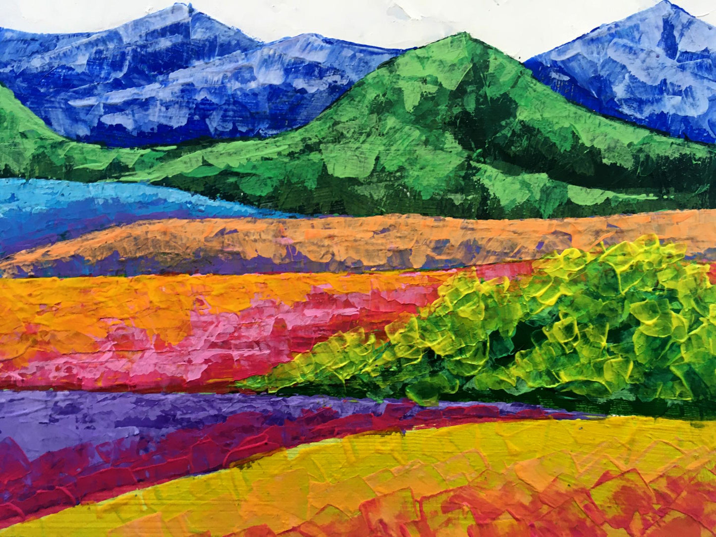 Vibrant oil painting Fresh air in the mountains by Zadorozhnya V. V