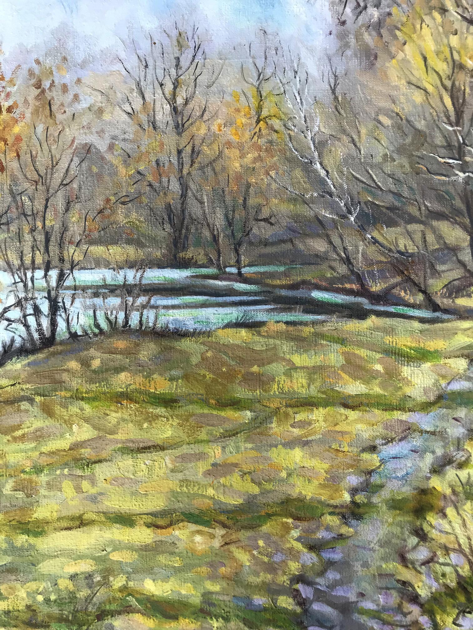 Forest landscape