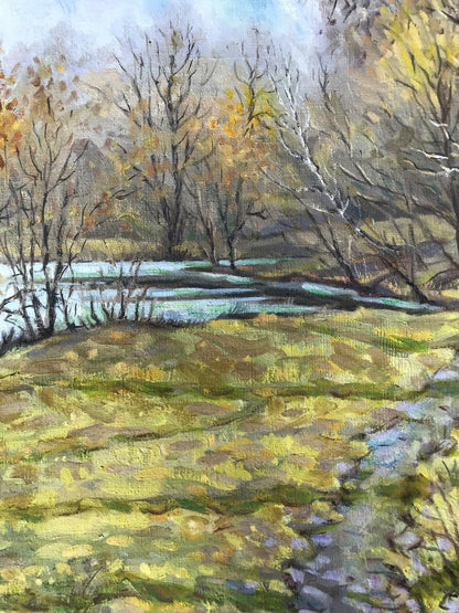 Forest landscape