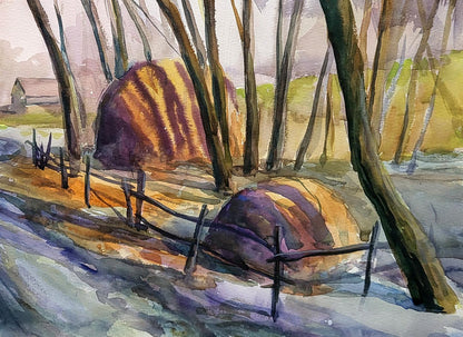 Rural landscape 