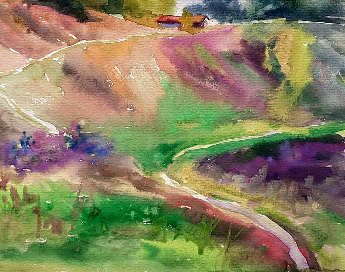 Rural landscape 