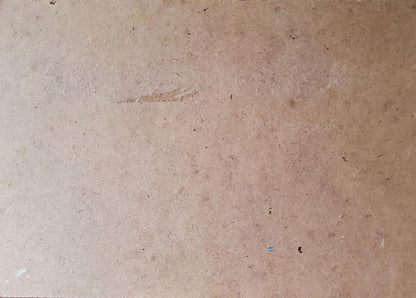 Beige particle board back with wood fibers, minor imperfections, Litvinov Daniil Olegovich