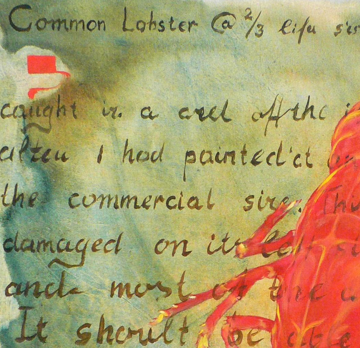 Vibrant red lobster oil painting by Korkishko Vasily on watercolor background