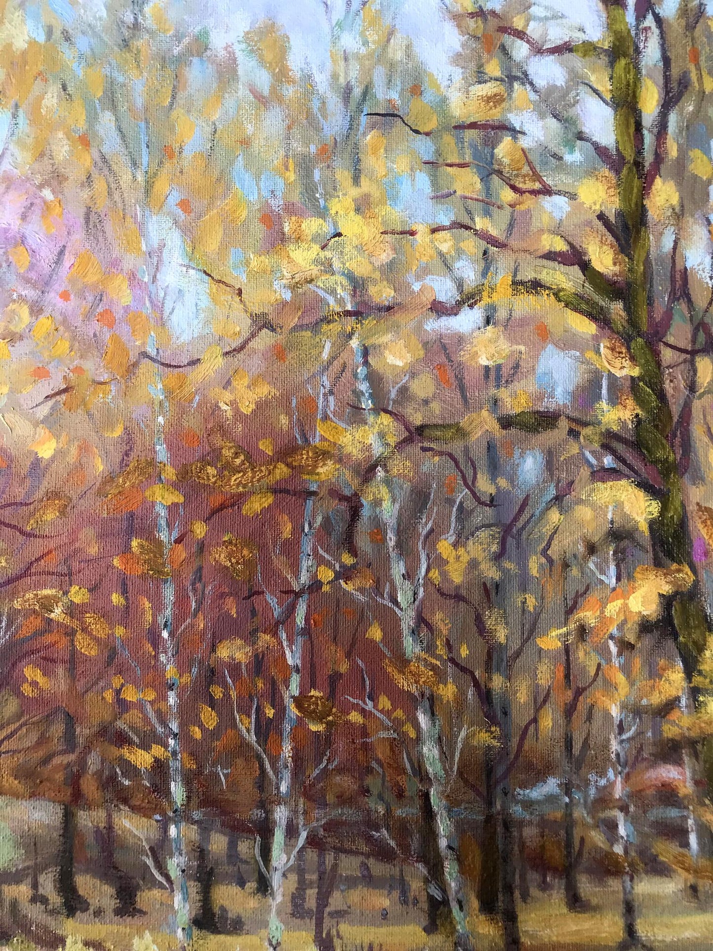Oil painting The Forests Golden Hour by Shapoval Ivan Leontyevich, vibrant autumn birch forest