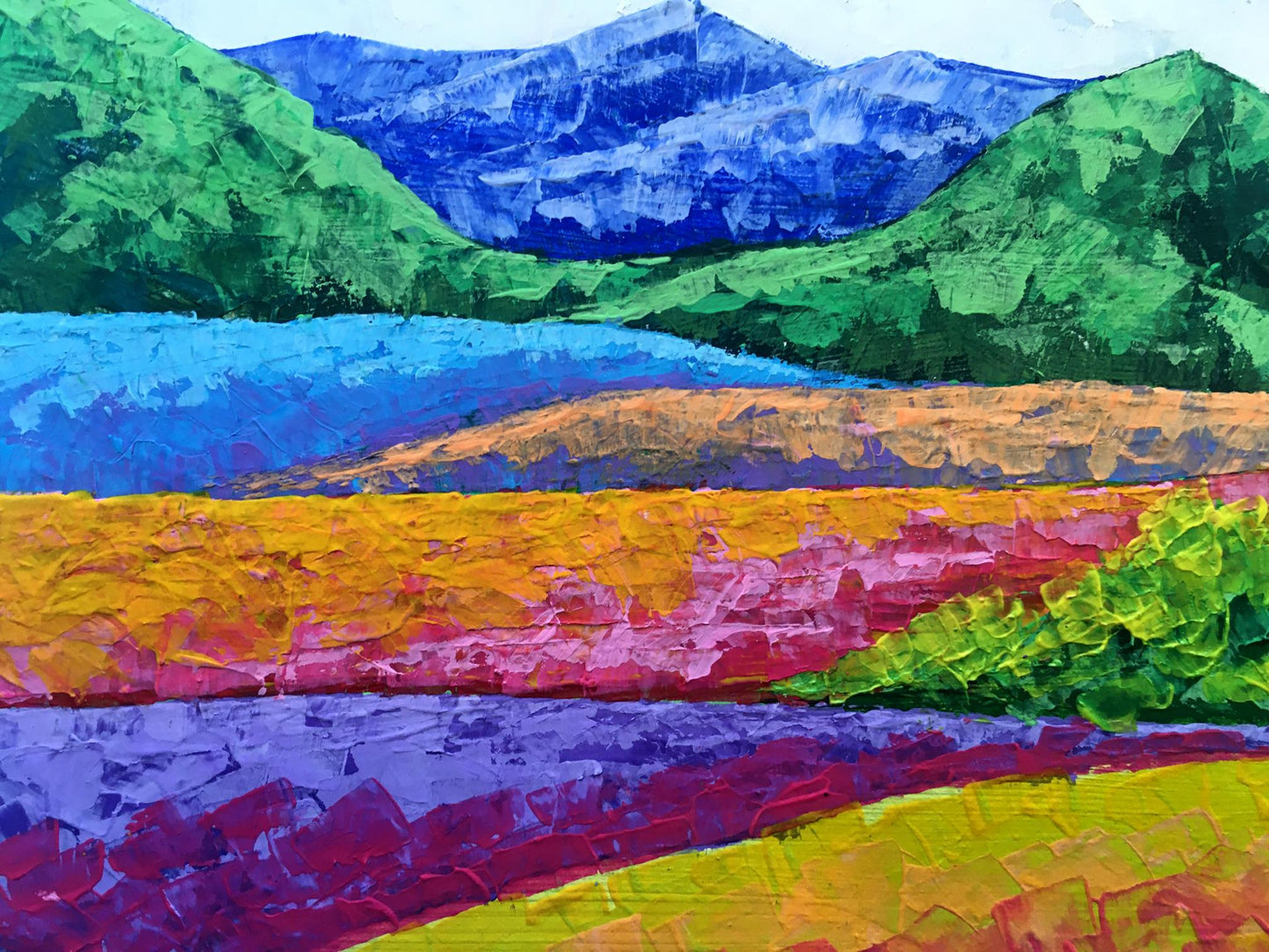 Vibrant impressionist oil painting Fresh air in the mountains by Zadorozhnya V. V