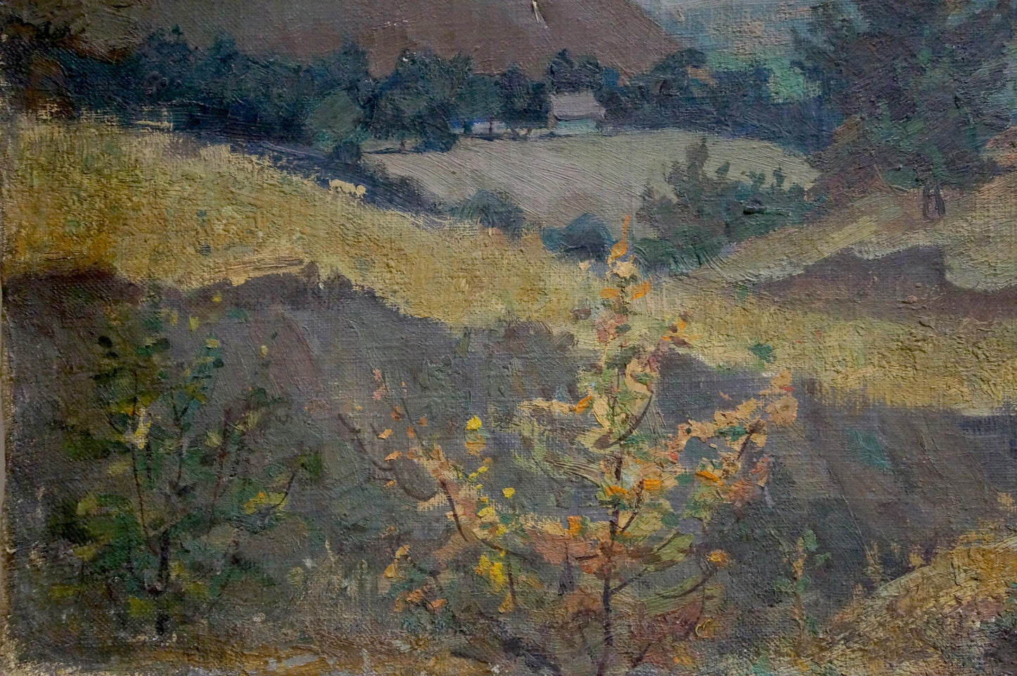 Oil painting Evening landscape by Koshevoy Victor Ivanovich