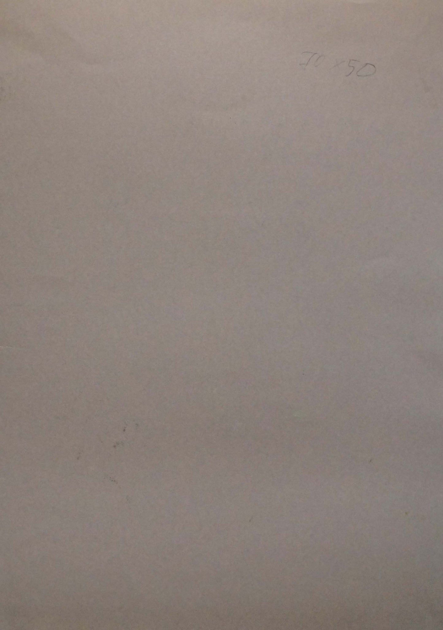 Back of Abstract painting Still life Albina Yaloz with faint pencil 28 50 on beige paper