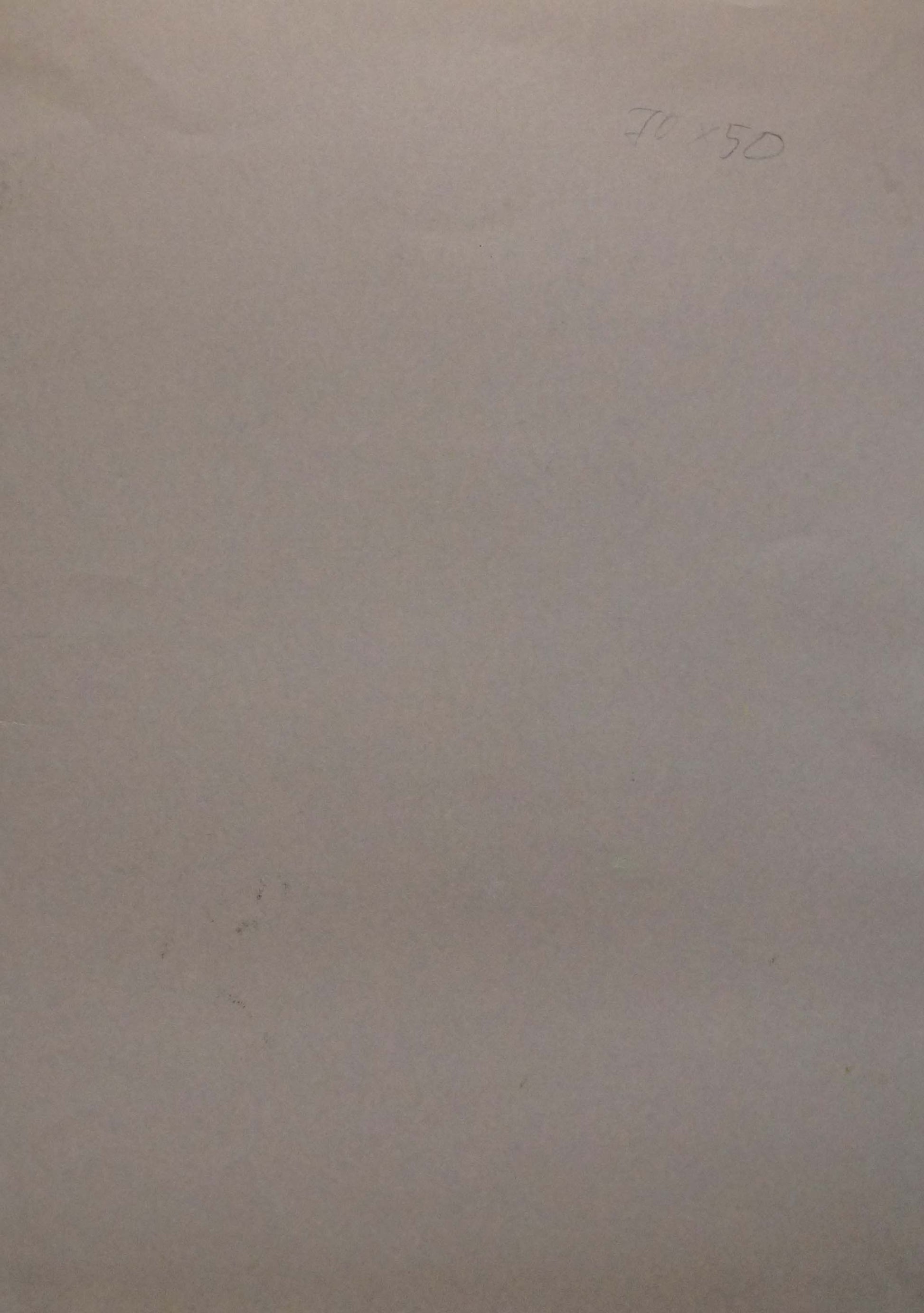 Back of Abstract painting Still life Albina Yaloz with faint pencil 28 50 on beige paper