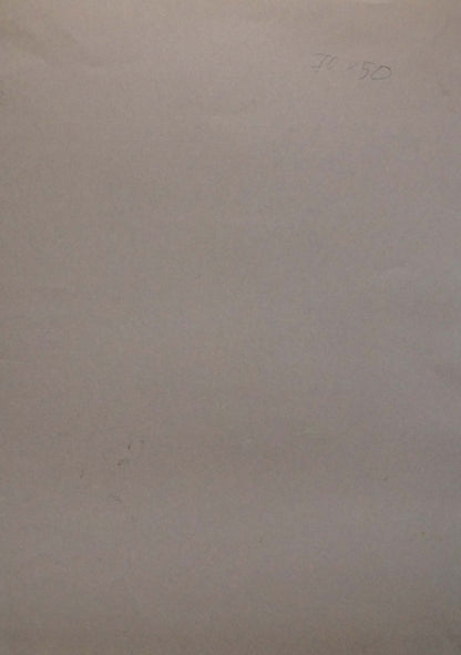 Back of Abstract painting Still life Albina Yaloz with faint pencil 28 50 on beige paper