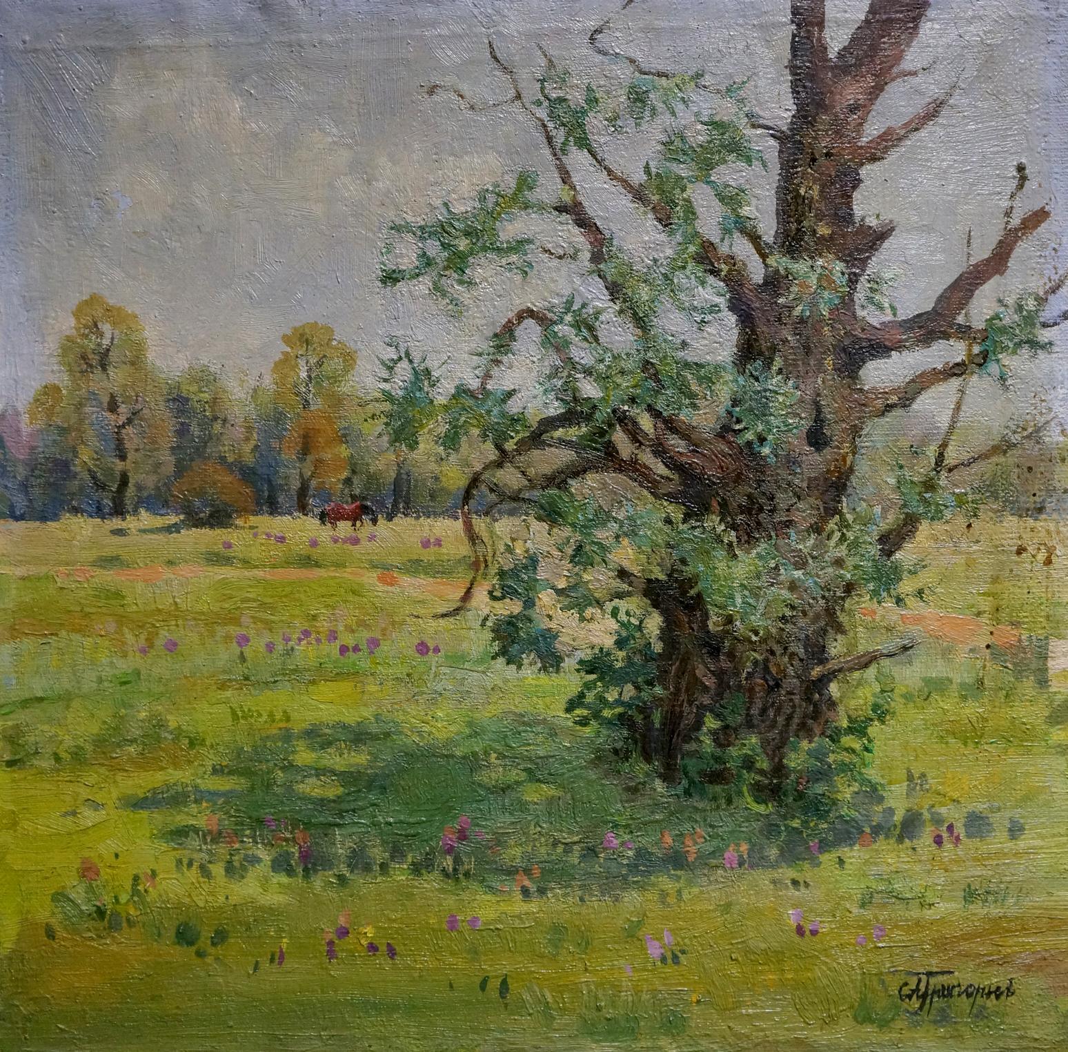 Oil painting of weathered willow tree in sunlit meadow by Grigoryev Sergey Alekseevich
