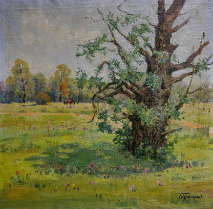 Oil painting of weathered willow tree in sunlit meadow by Grigoryev Sergey Alekseevich