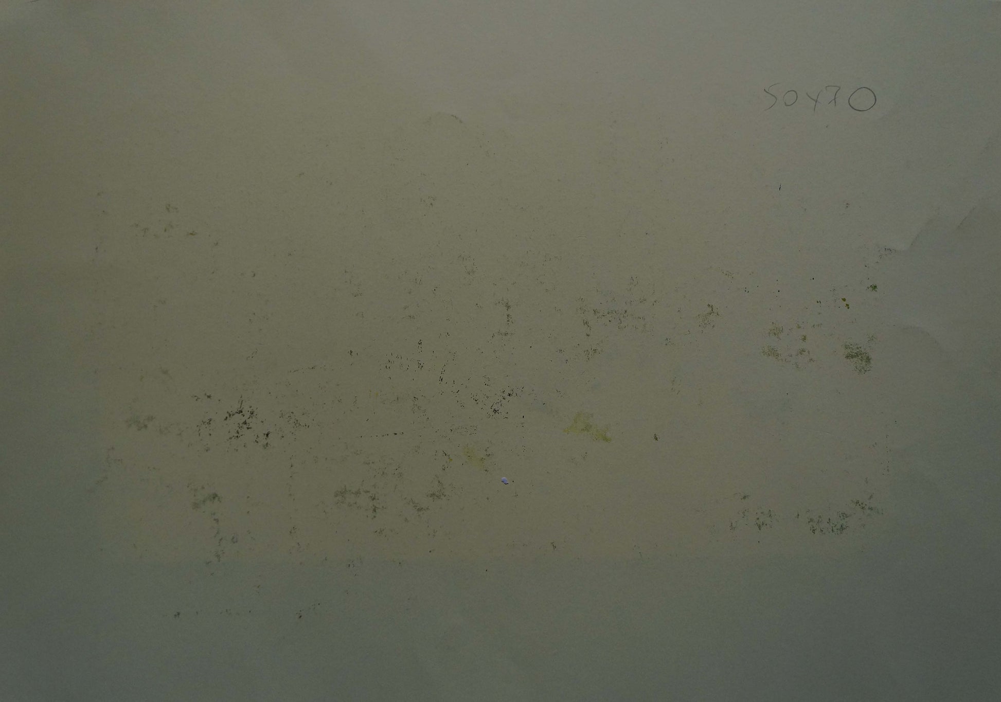 Faded off-white back of Abstract painting Apples and pumpkins Albina Yaloz