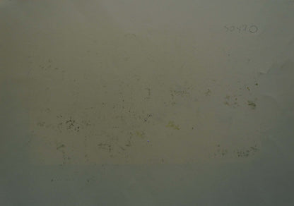 Faded off-white back of Abstract painting Apples and pumpkins Albina Yaloz