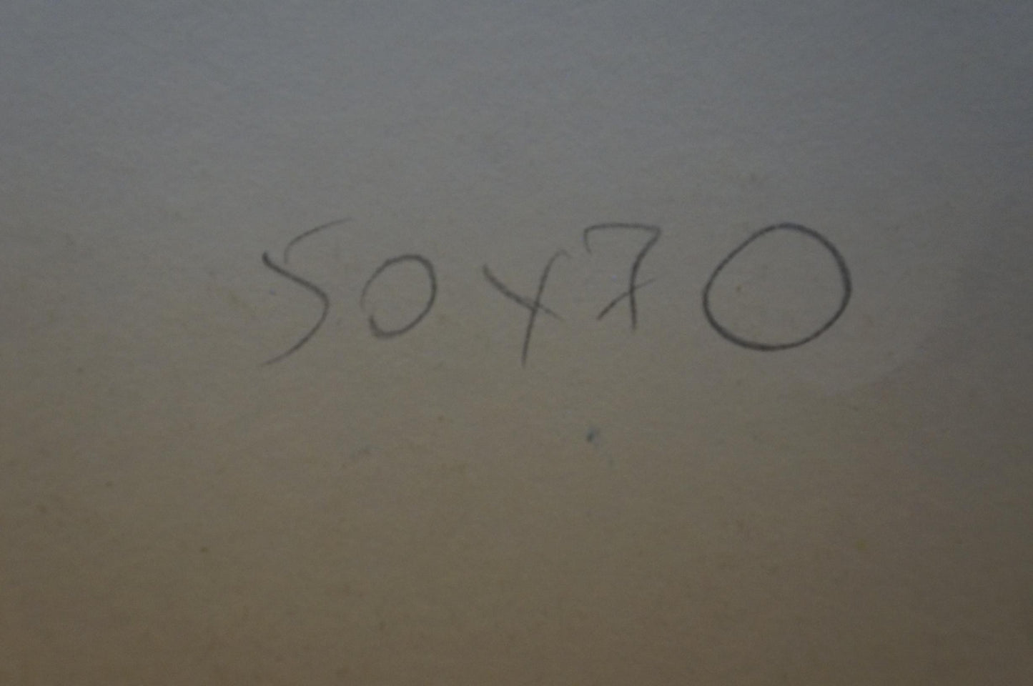 Back of Abstract painting Apples and pumpkins Albina Yaloz with handwritten 50 x 70 notation