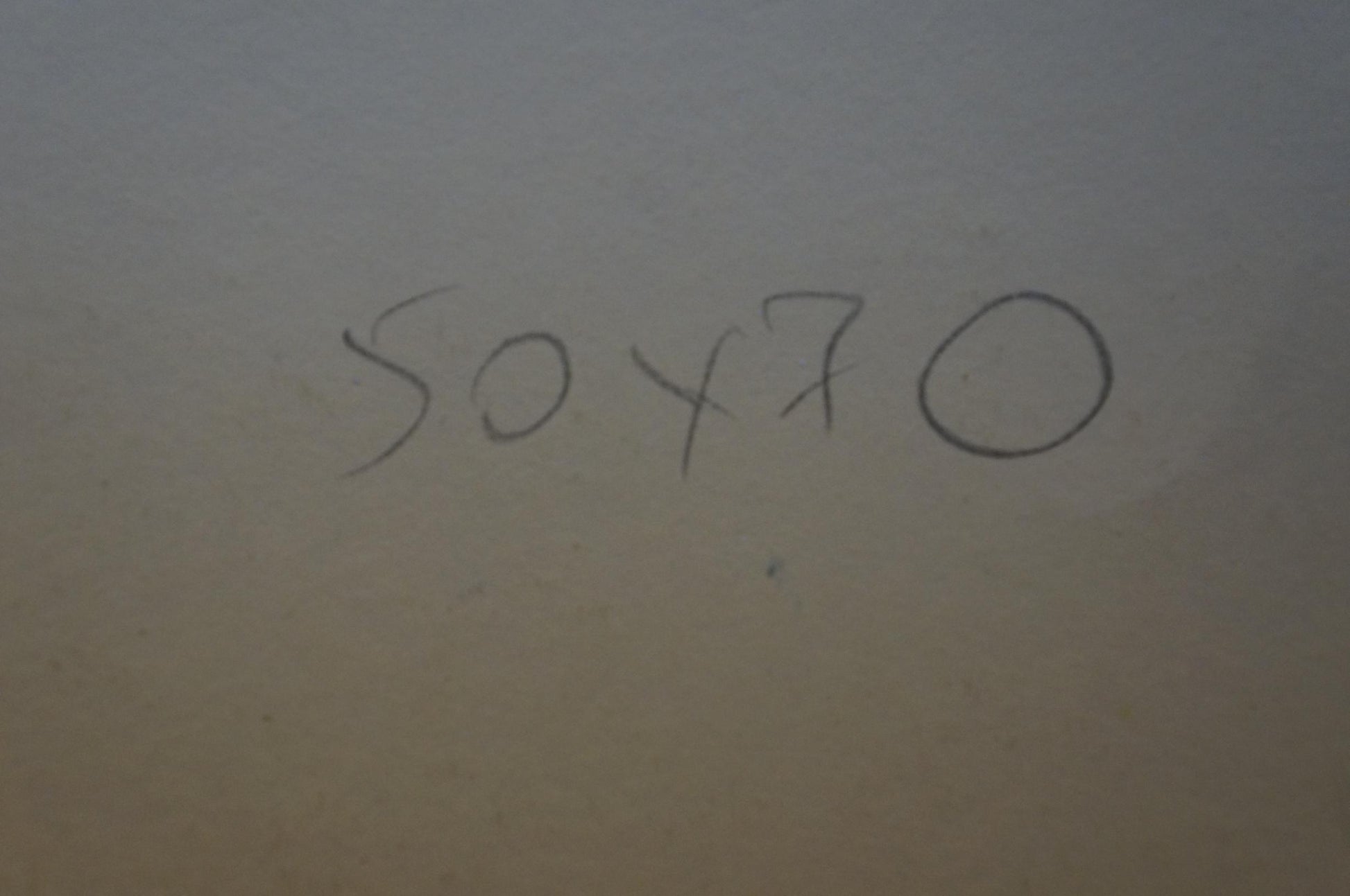 Back of Abstract painting Apples and pumpkins Albina Yaloz with handwritten 50 x 70 notation