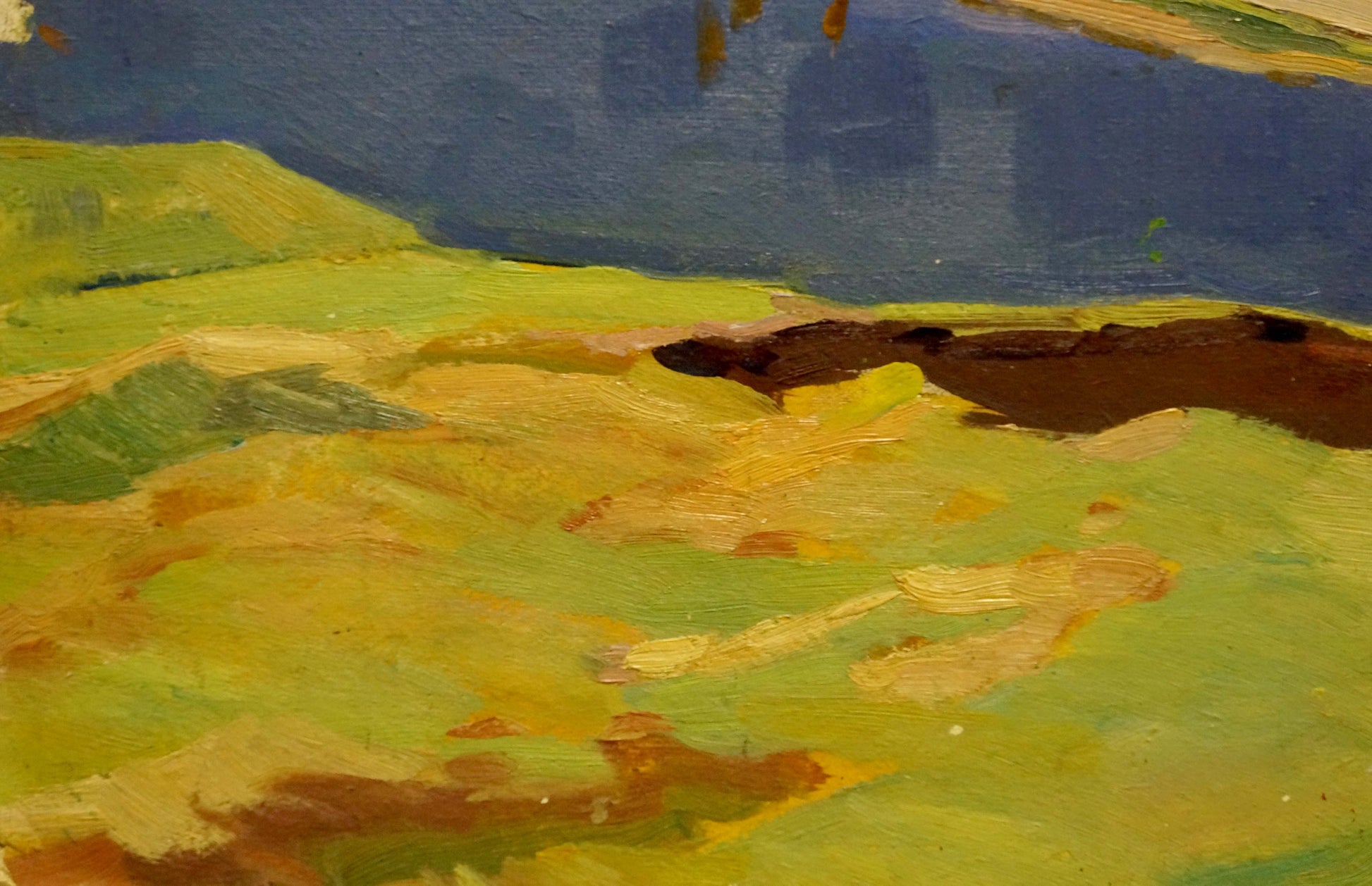 Oil painting of forest hills by Scriabin Petr Dmitrievich