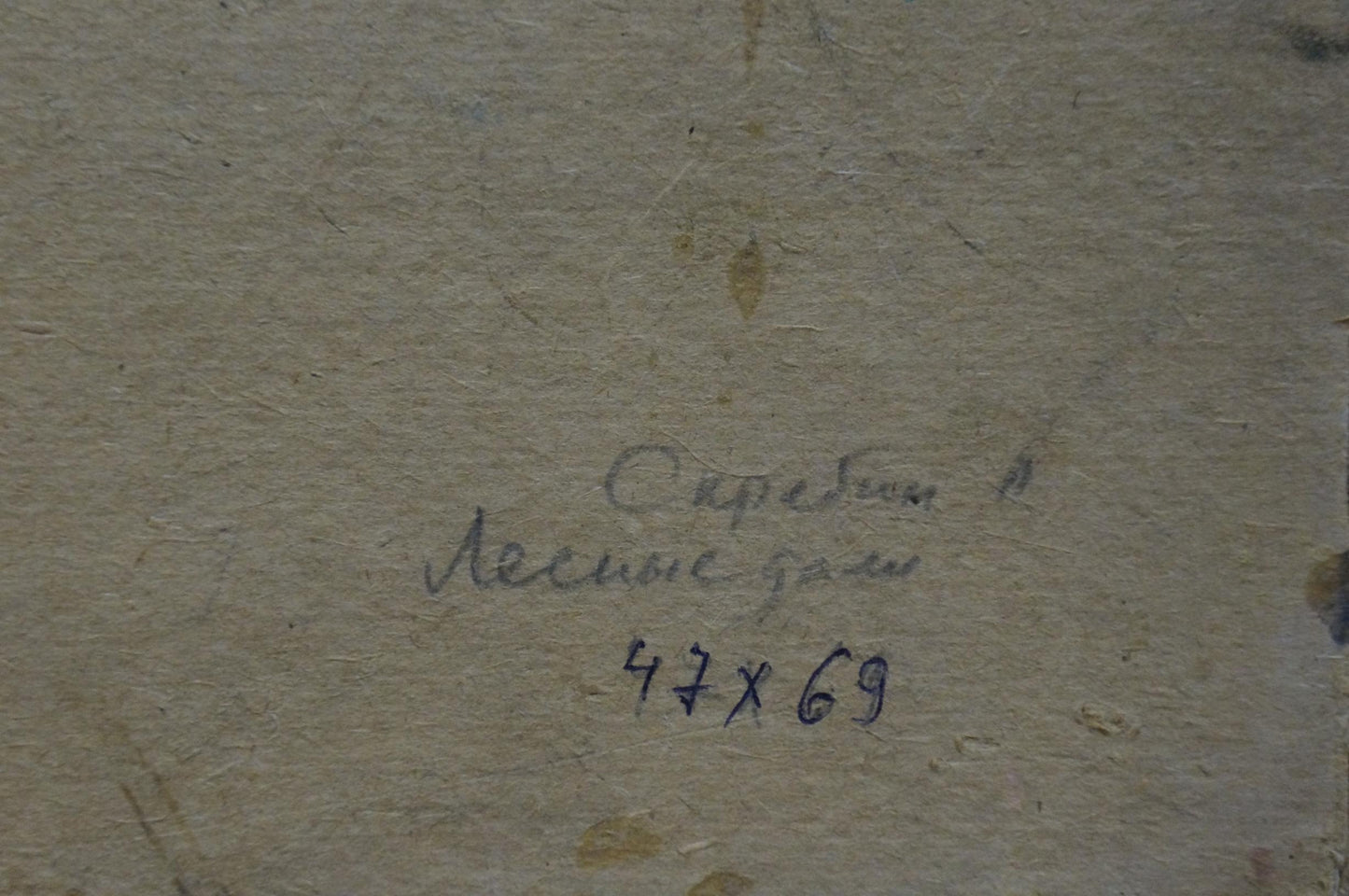 Back of Scriabin Petr Dmitrievich forest landscape oil painting with handwritten signature and dimensions on beige canvas