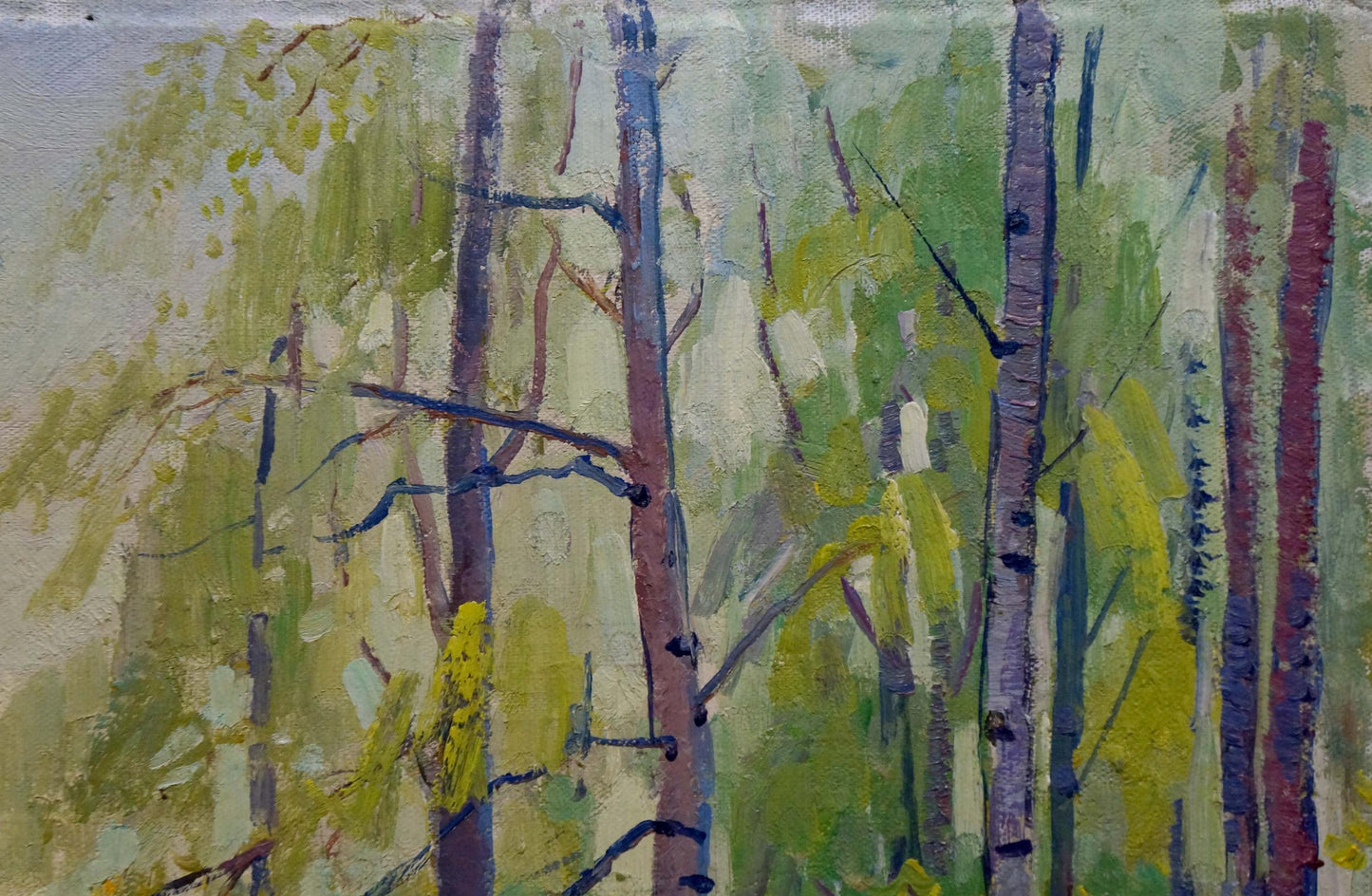 Vibrant impressionist oil painting of birch thicket by Shepetovsky Vitaly Yakovlevich