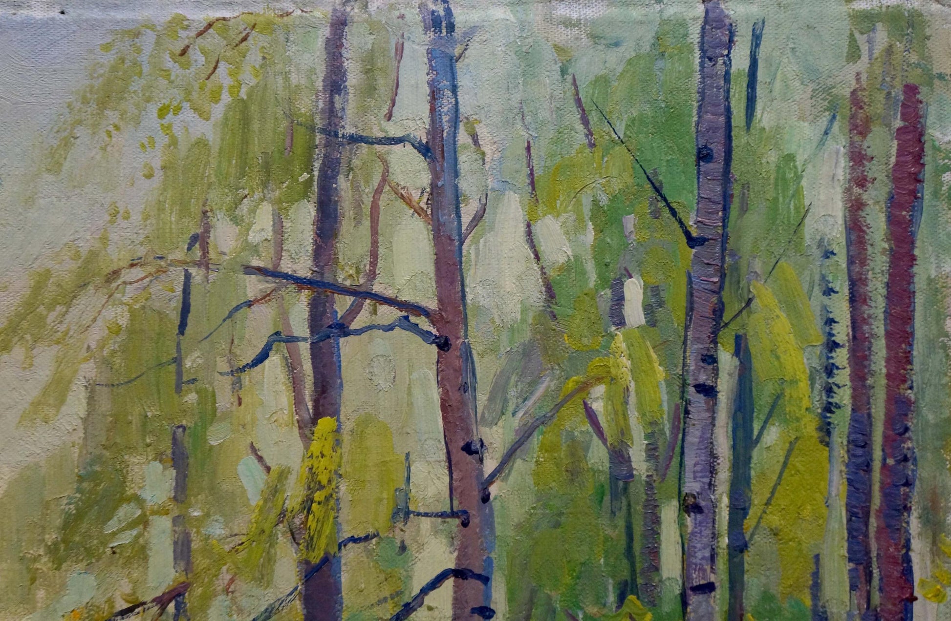Vibrant impressionist oil painting of birch thicket by Shepetovsky Vitaly Yakovlevich