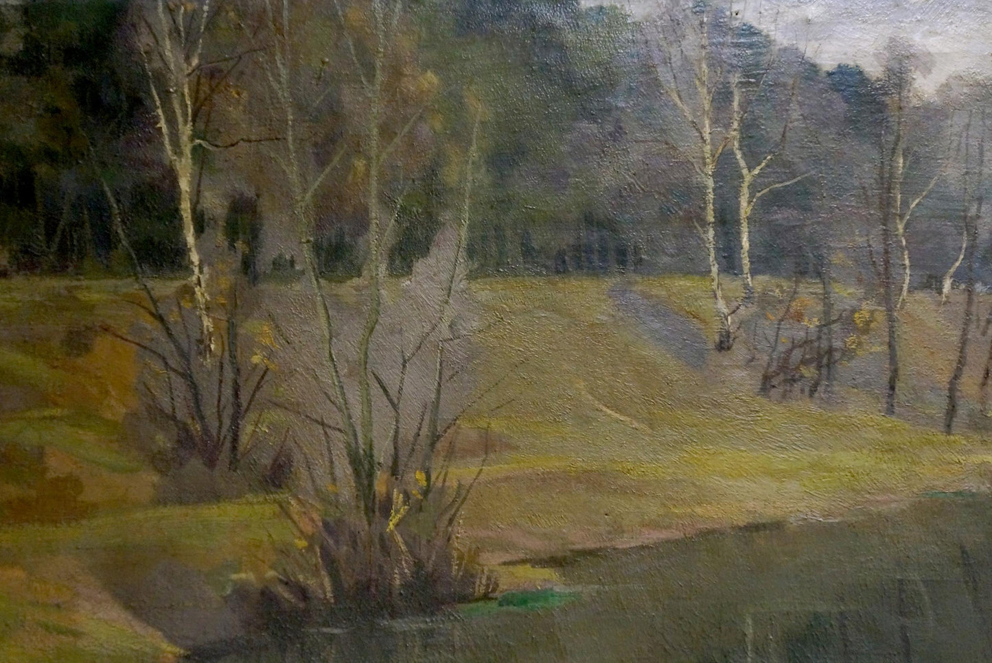 Serene oil painting by Konstantinov Victor Sergeevich: tranquil birch forest