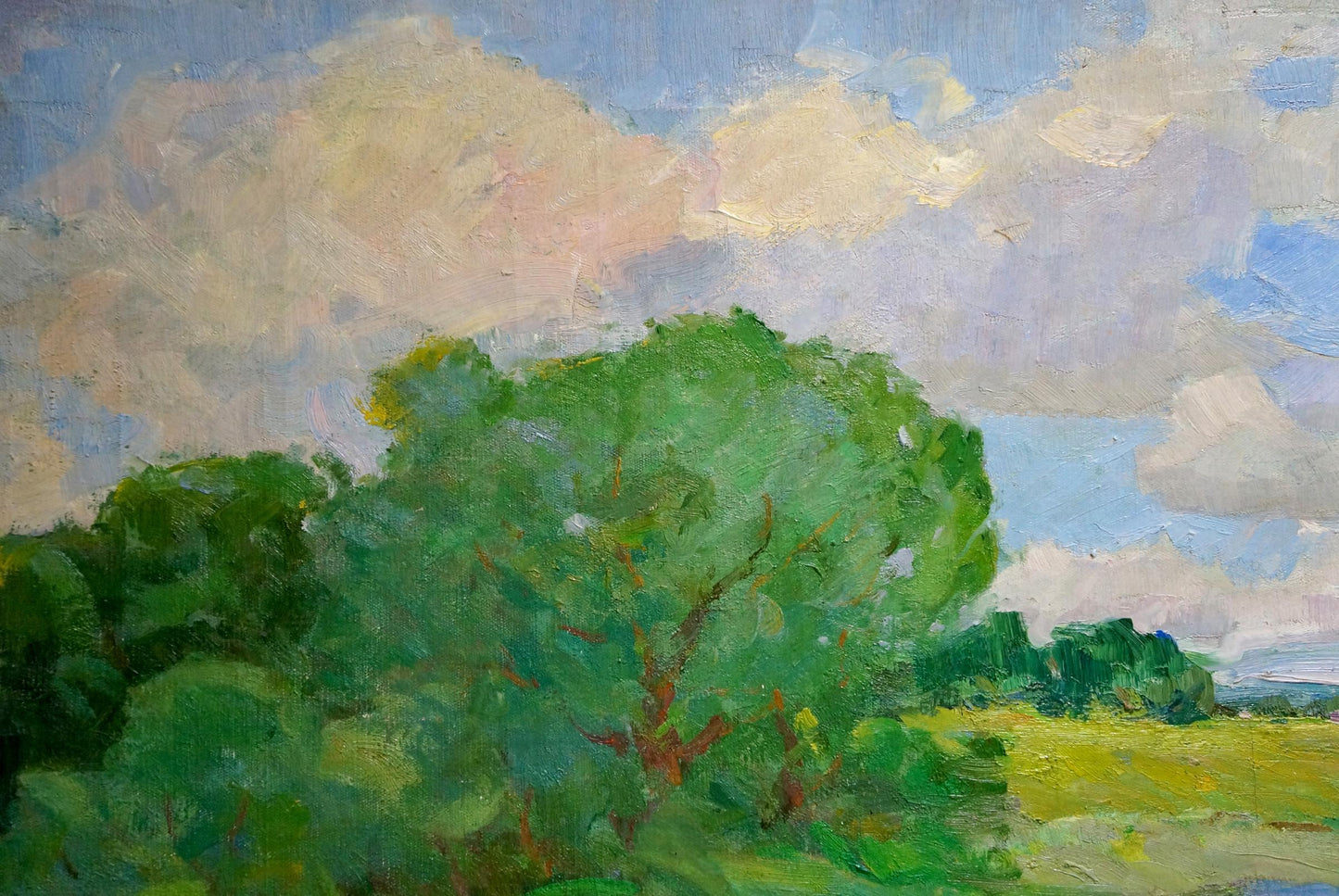 Oil painting of lush green tree by Sevastyanov Victor Grigorievich