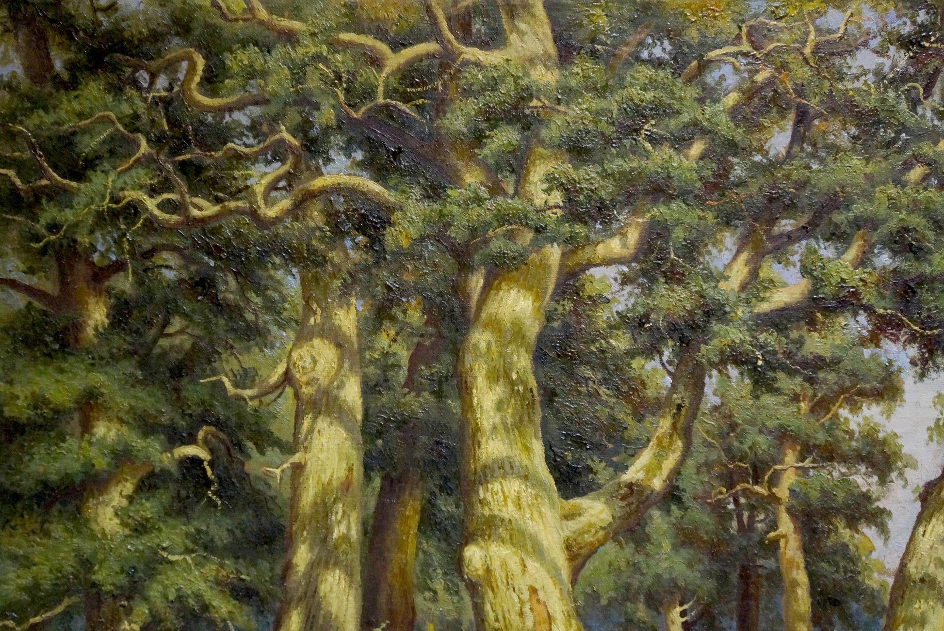 Oil painting of jogging in forest with towering gnarled trees, unknown artist