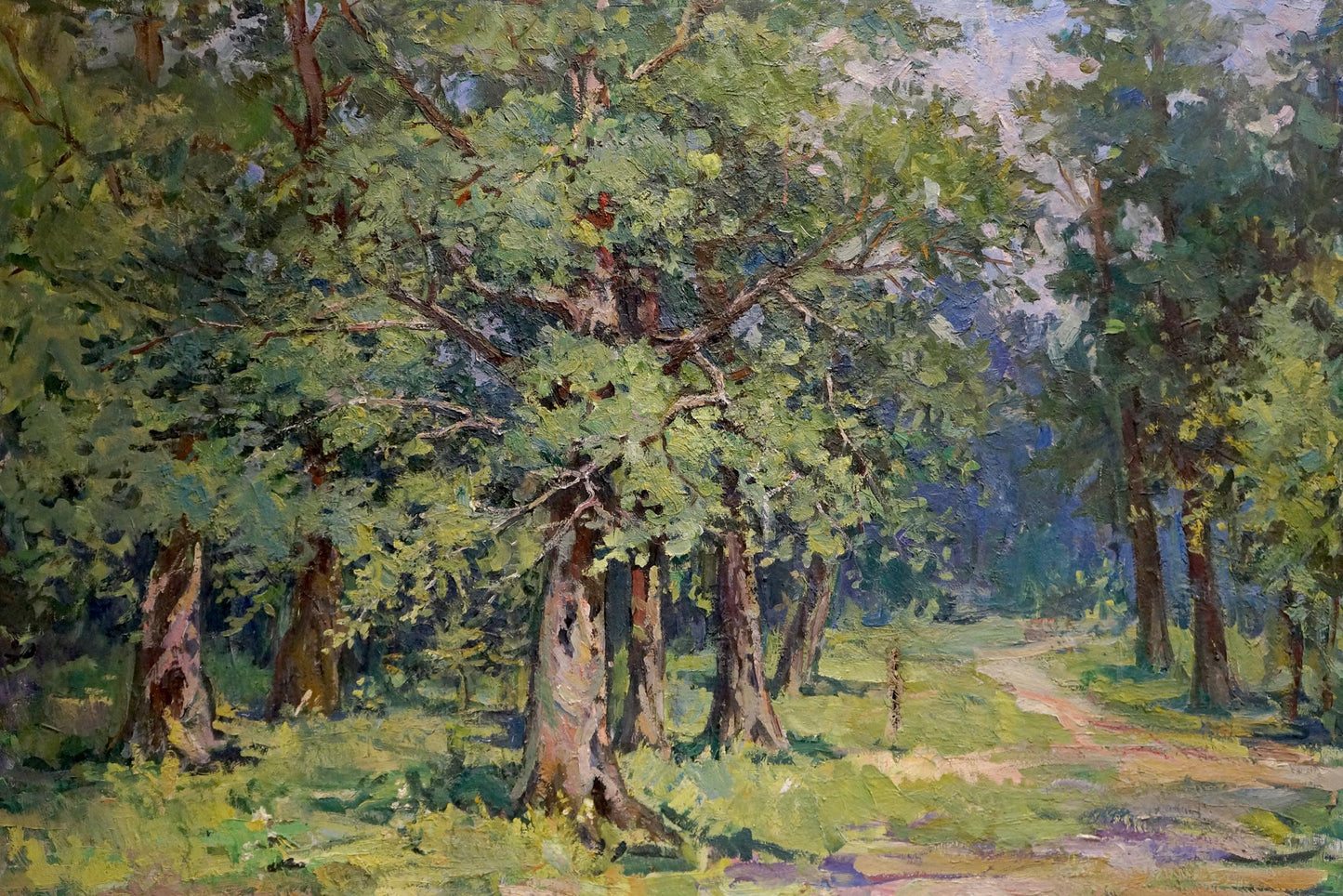 Oil painting of sunny forest landscape by unknown artist