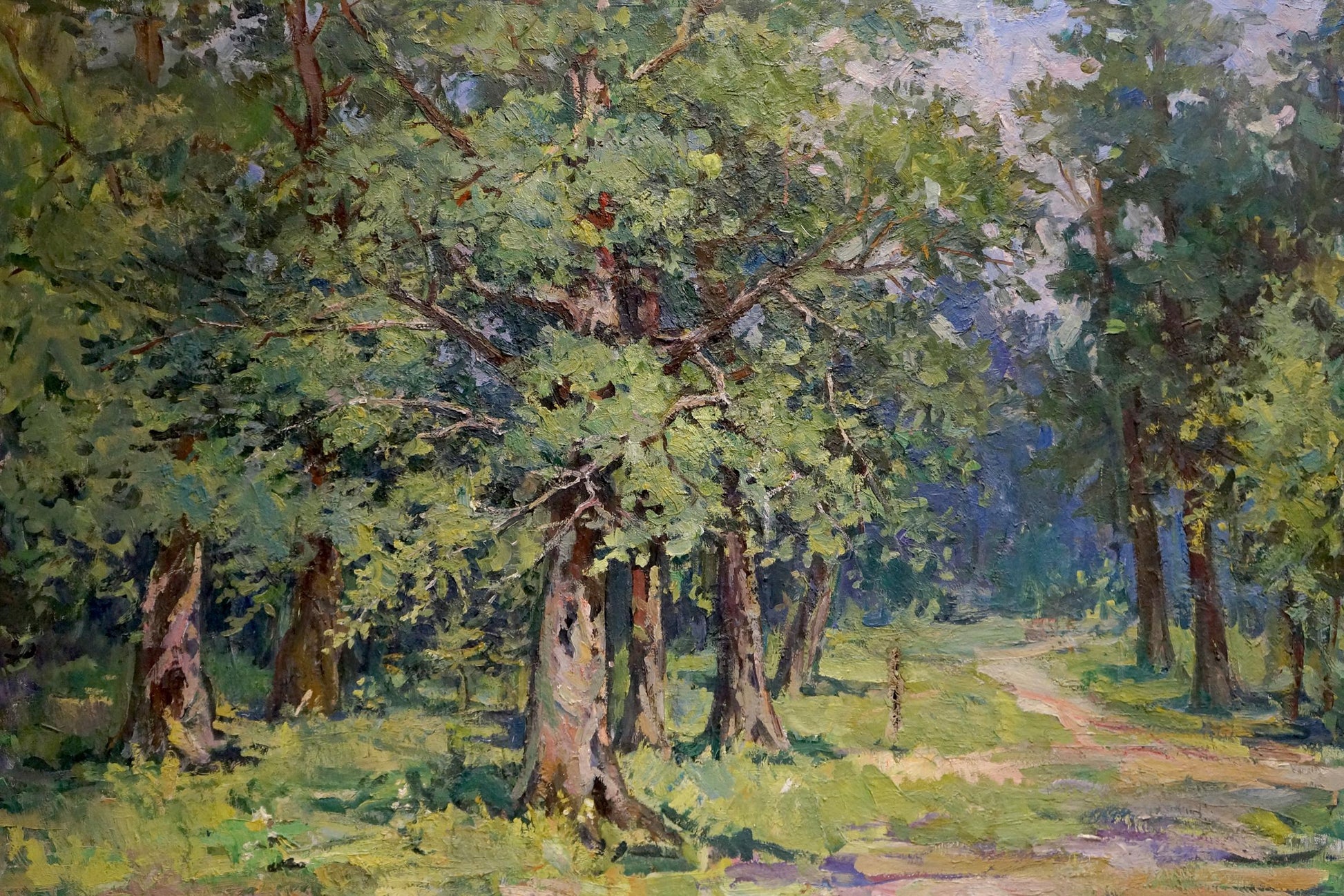 Oil painting of sunny forest landscape by unknown artist