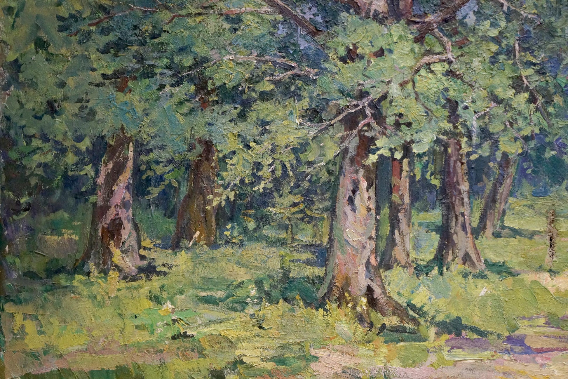 Oil painting of sunny forest landscape with tall trees and lush foliage