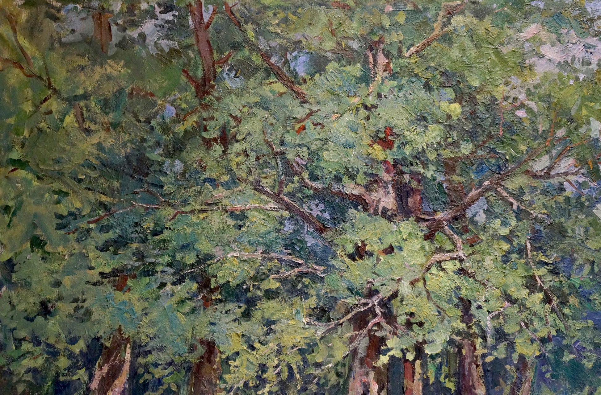 Oil painting of sunny forest landscape with lush green canopy