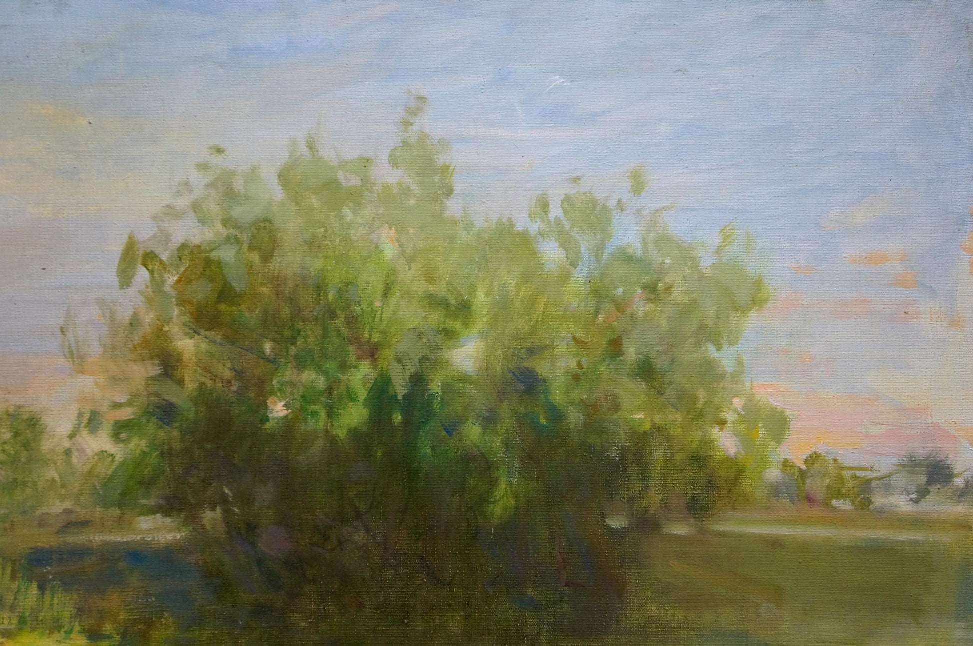 Oil painting Fog has fallen by Bezugly Daniil Ivanovich lush green bush under pale blue sky