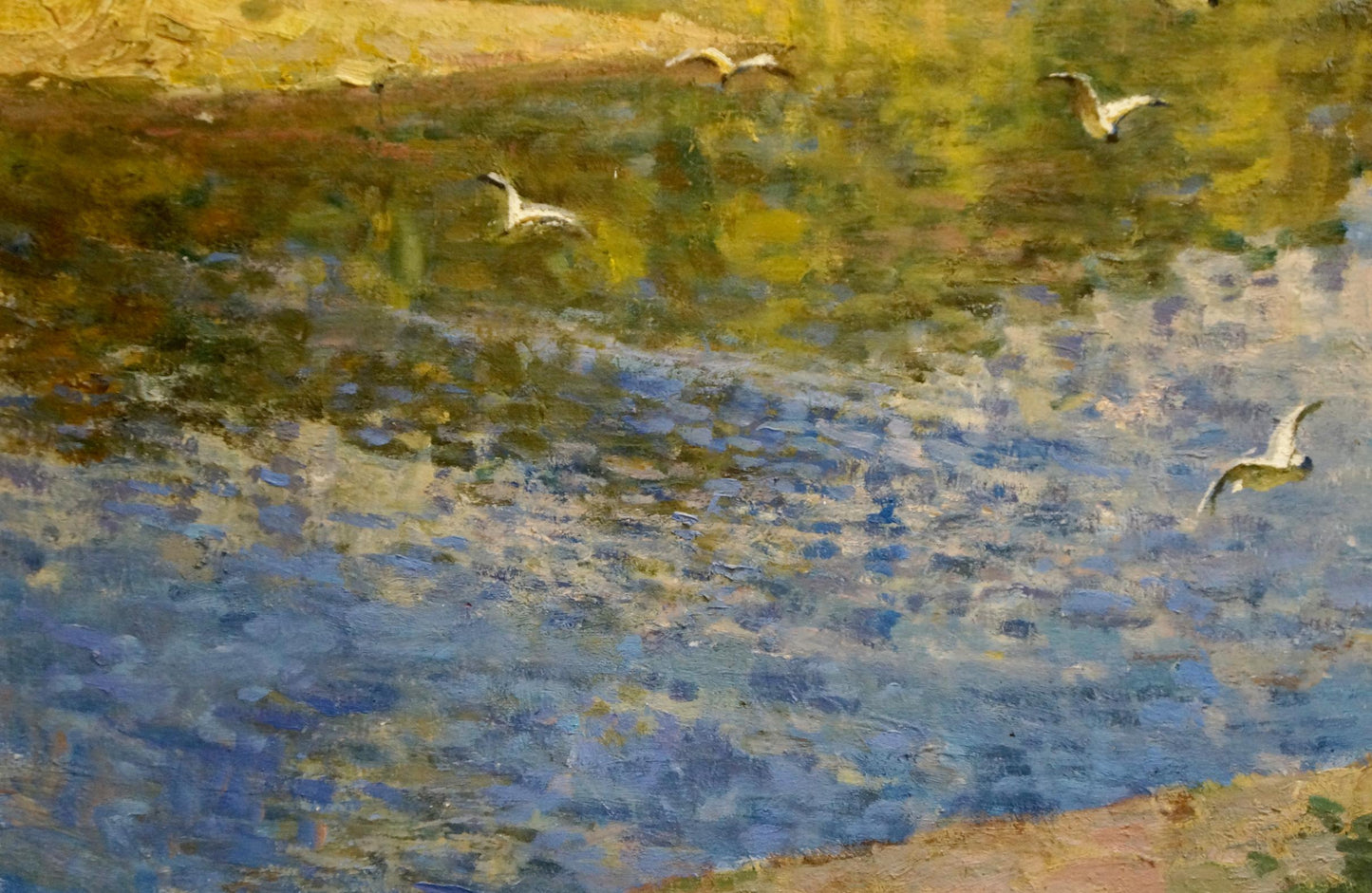White seagulls glide over impressionistic near-shore waters by Nesterenko