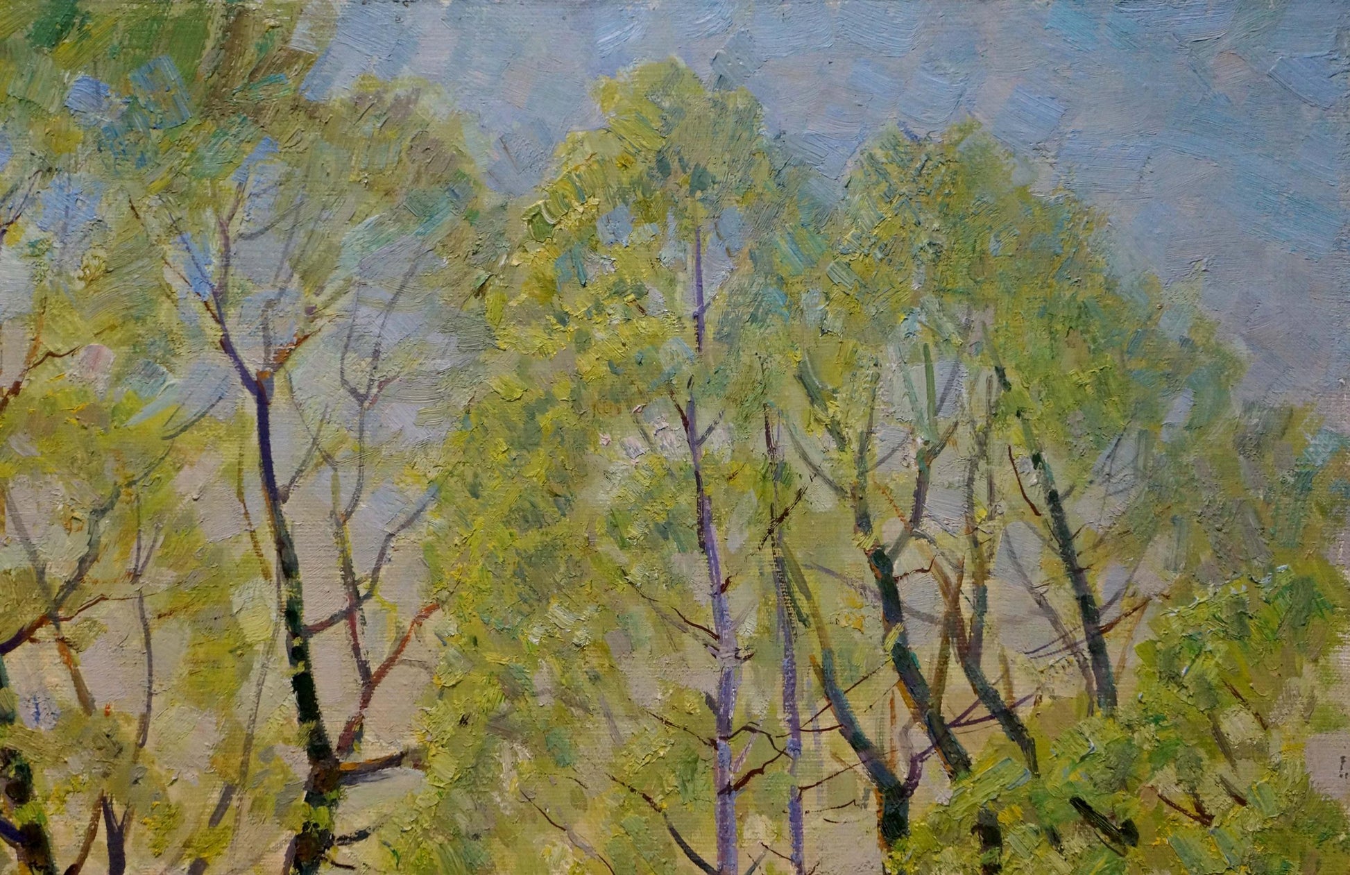 Oil painting In April by Belsky Vladimir Mikhailovich, tall green trees