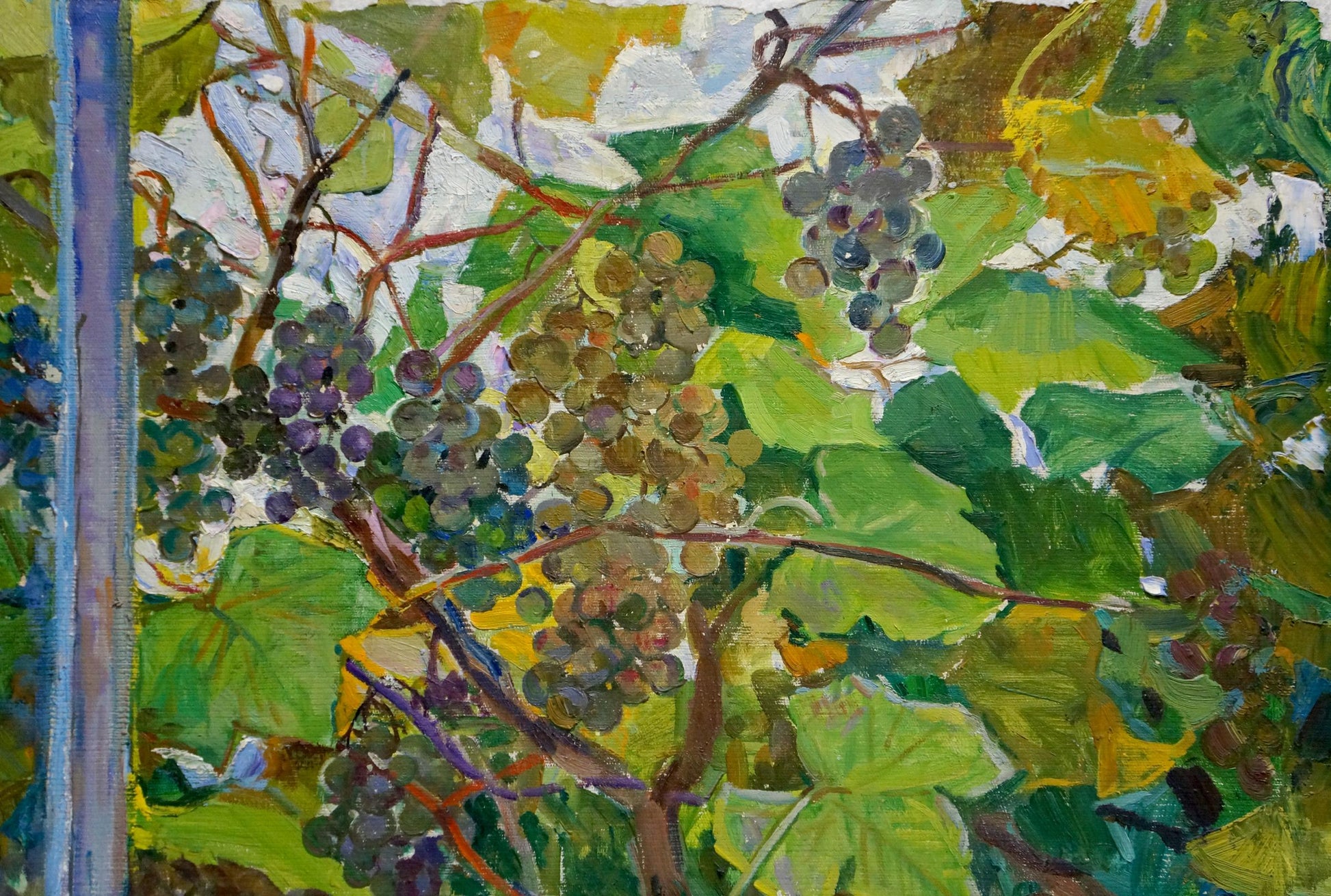 Oil painting Autumn by Volkovinskaya Zinaida Vladimirovna: ripe purple green grapes on vines