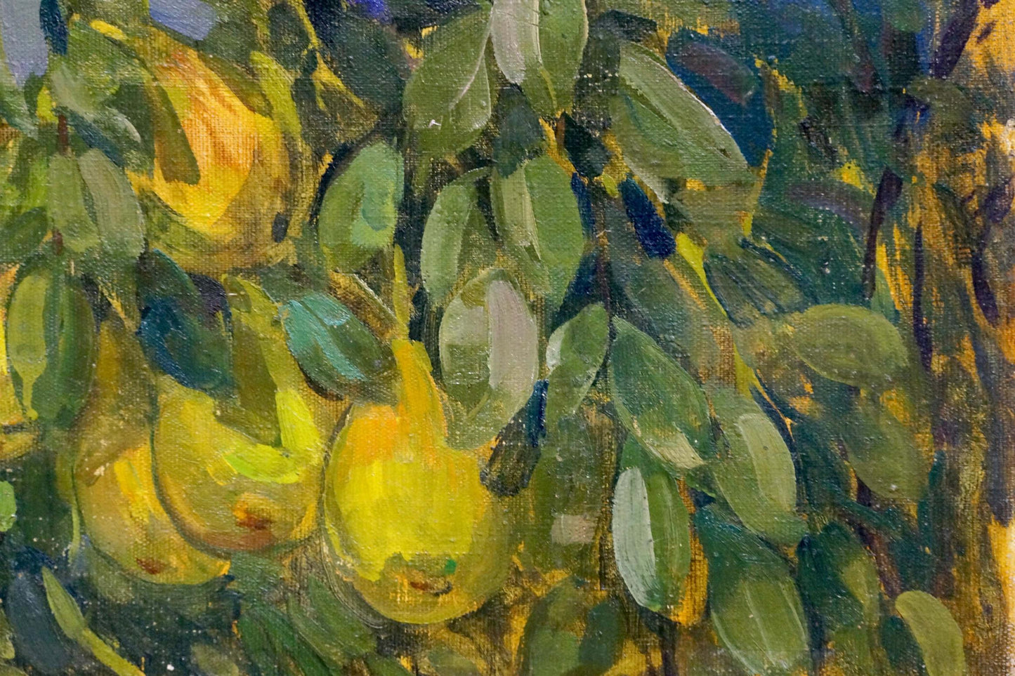 Oil painting of golden pears on tree by Kovtonyuk Ivan Anan’yevich