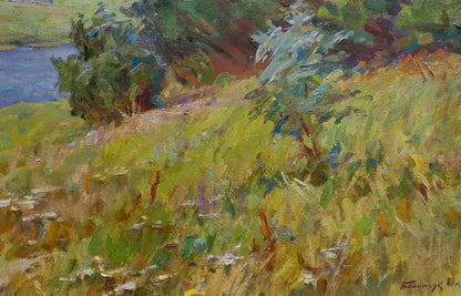 Oil painting landscape by Borimchuk Mikhail Petrovich: sunlit field