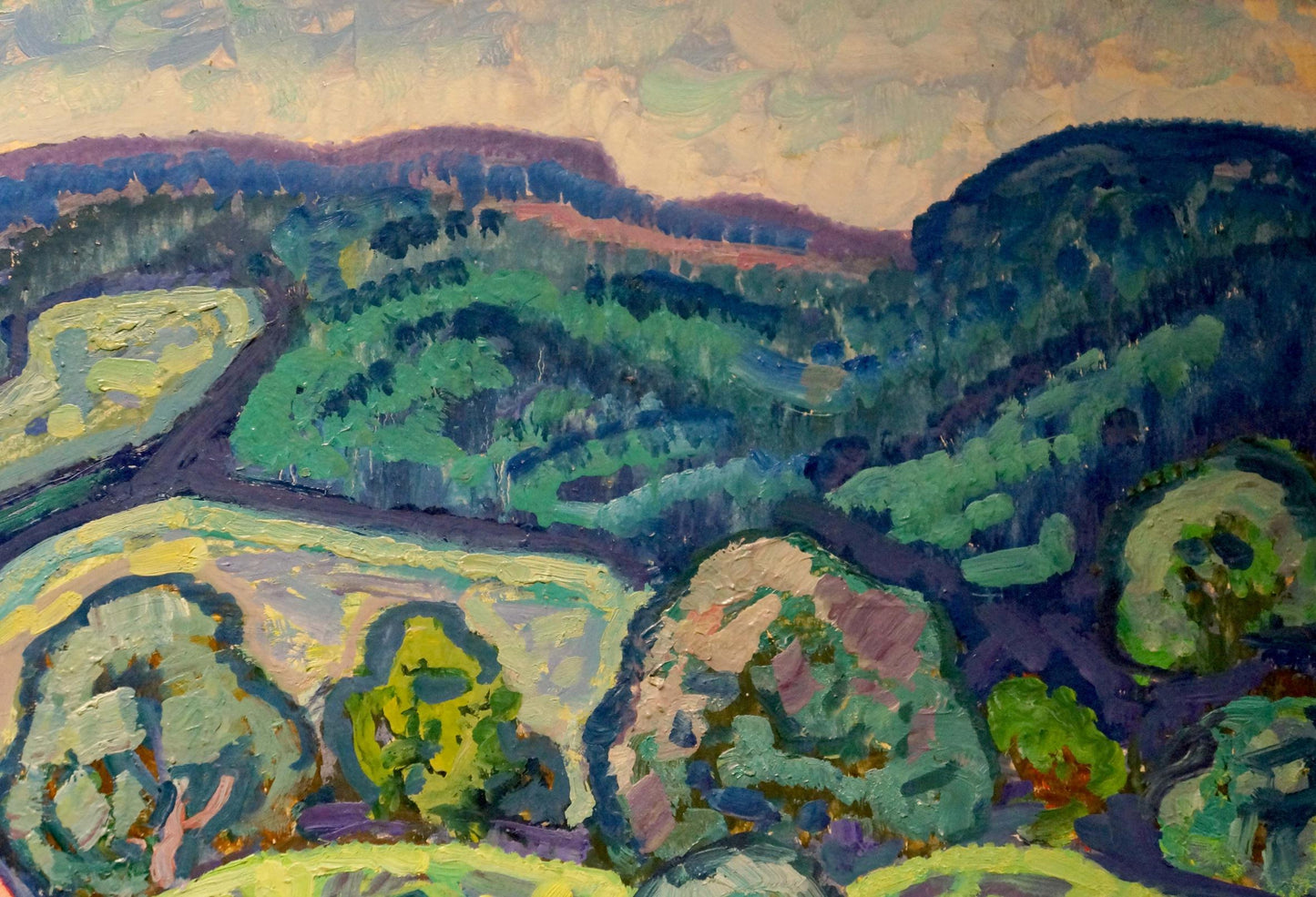 Oil painting In the Poltava region by Gaiduk Zinaida Kirillovna, vibrant hills