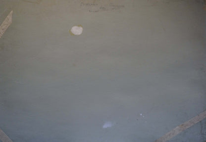Oil painting of carnation by Sidoruk Vladimir Fedorovich on gray surface