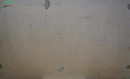Oil painting For freedom by Pokulity Konstantin Ivanovich on peeling beige wall