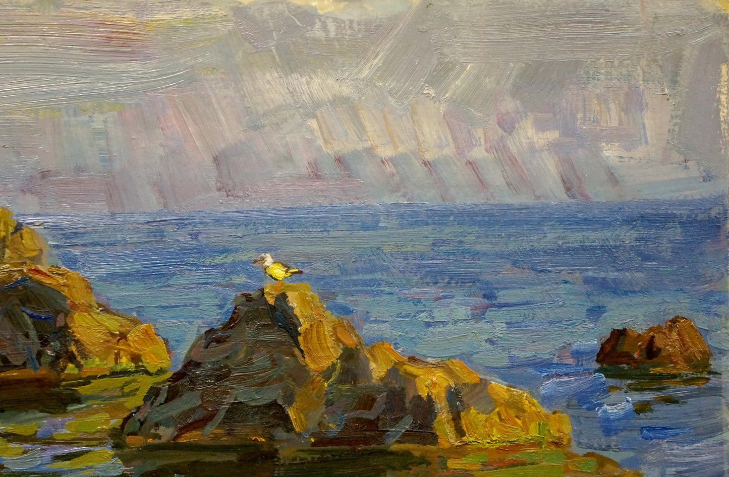 Yellow seagull on sunlit sea rocks oil painting by Olkhov Vladimir Nikolaevich