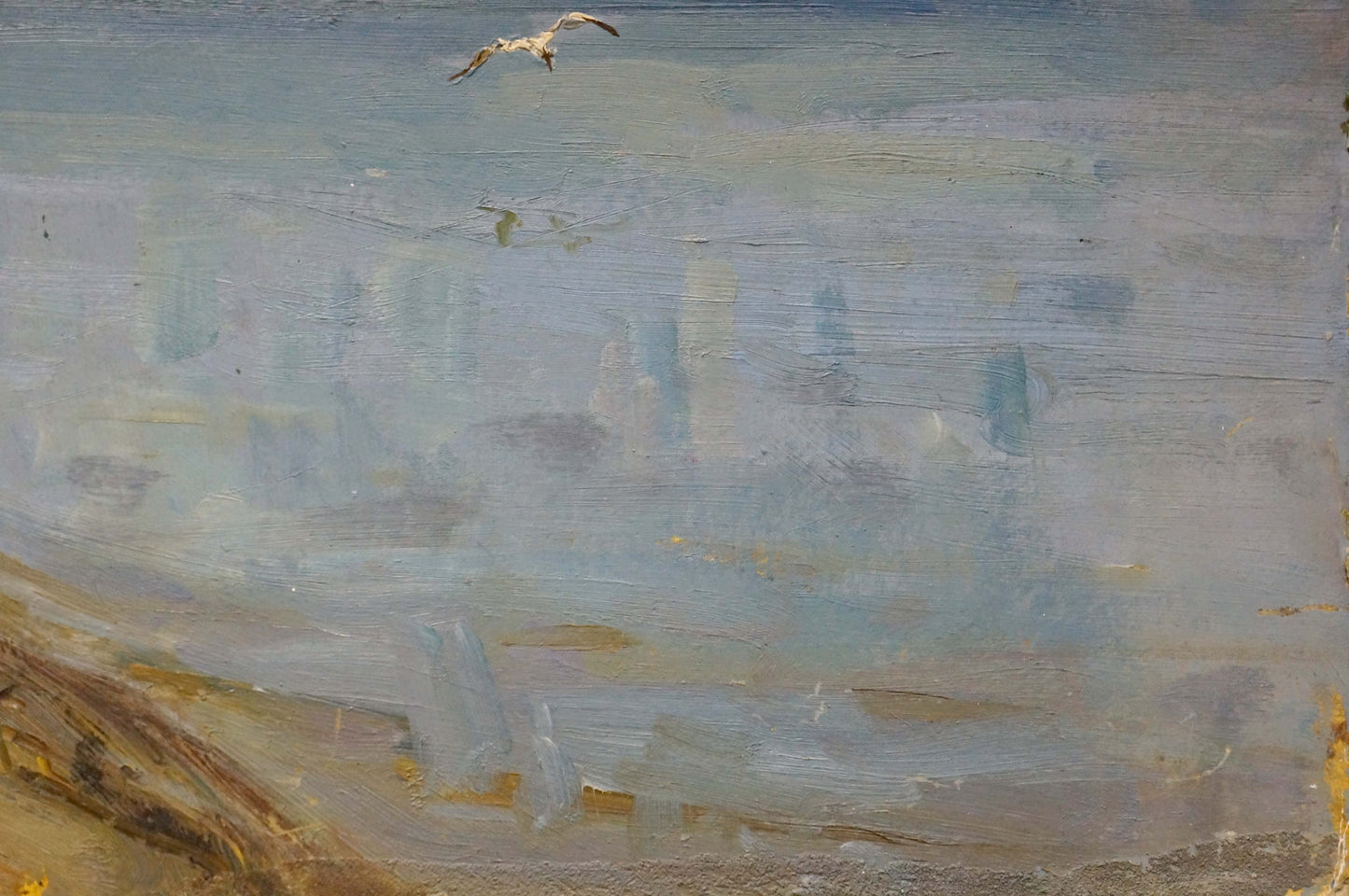 Impressionistic seagull in flight over muted coast by Petrov Georgy Petrovich